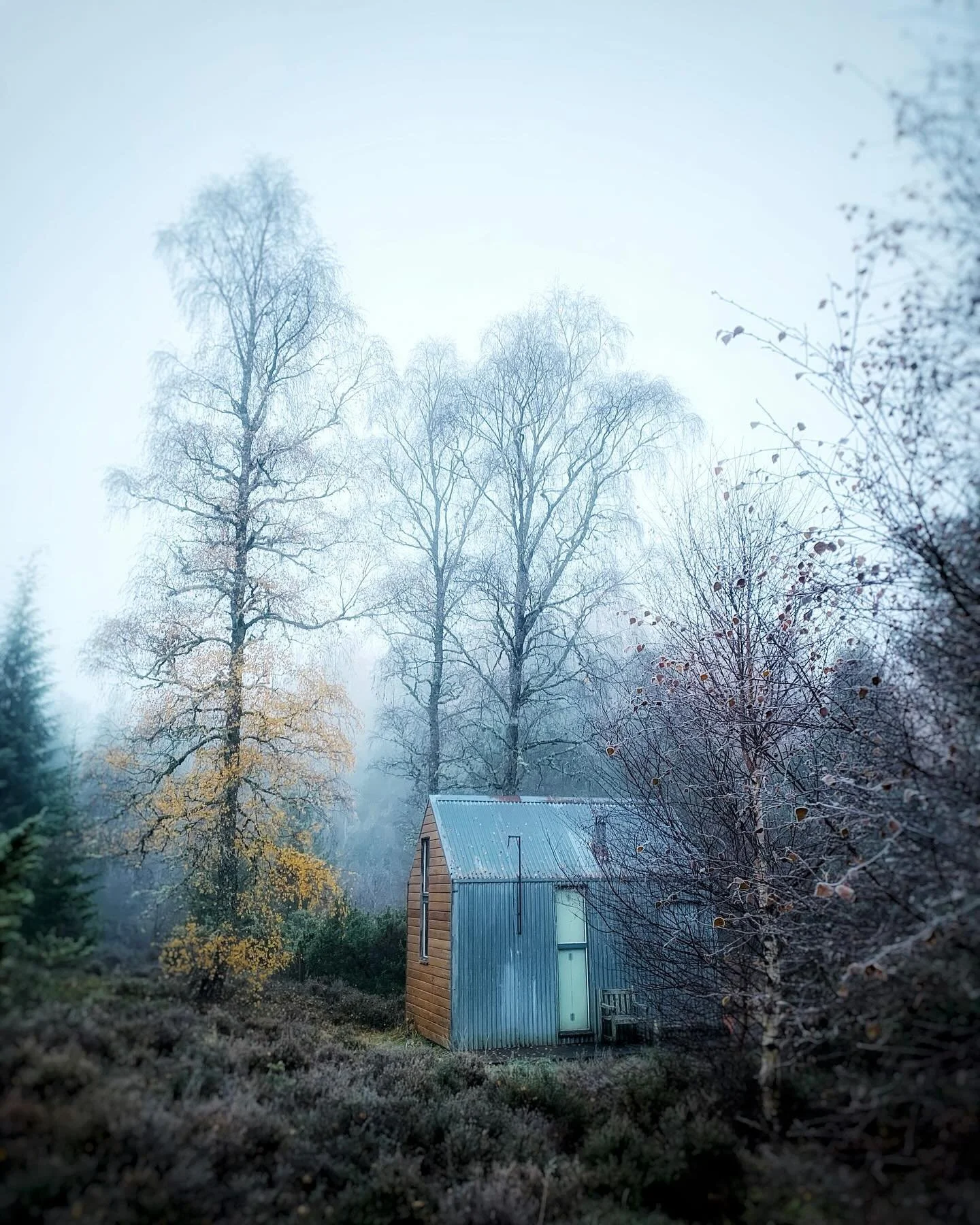 Throwback to one of the most special accommodations I ever stayed in 🍂✨

The Bothy at @inshriach was originally built to offer artists and creatives a place of solitude and simplicity, but is now available to everyone who longs for exactly the same.