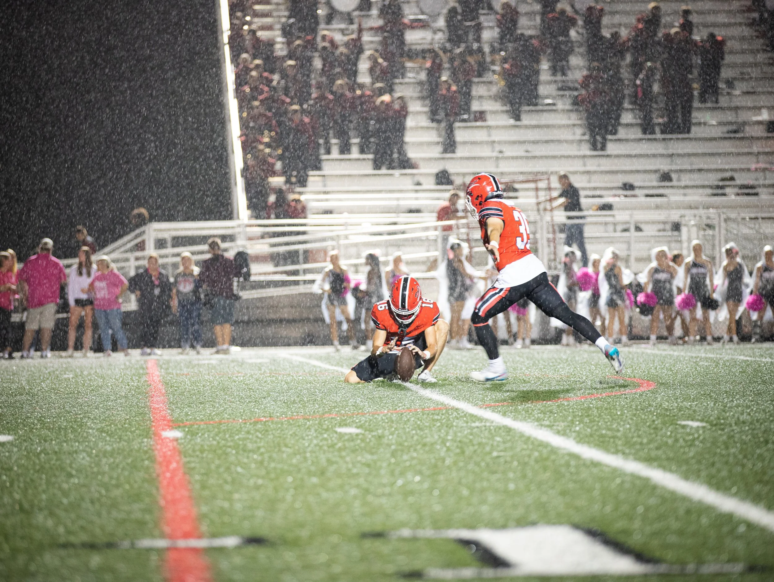 PETAL-7 (1).jpg