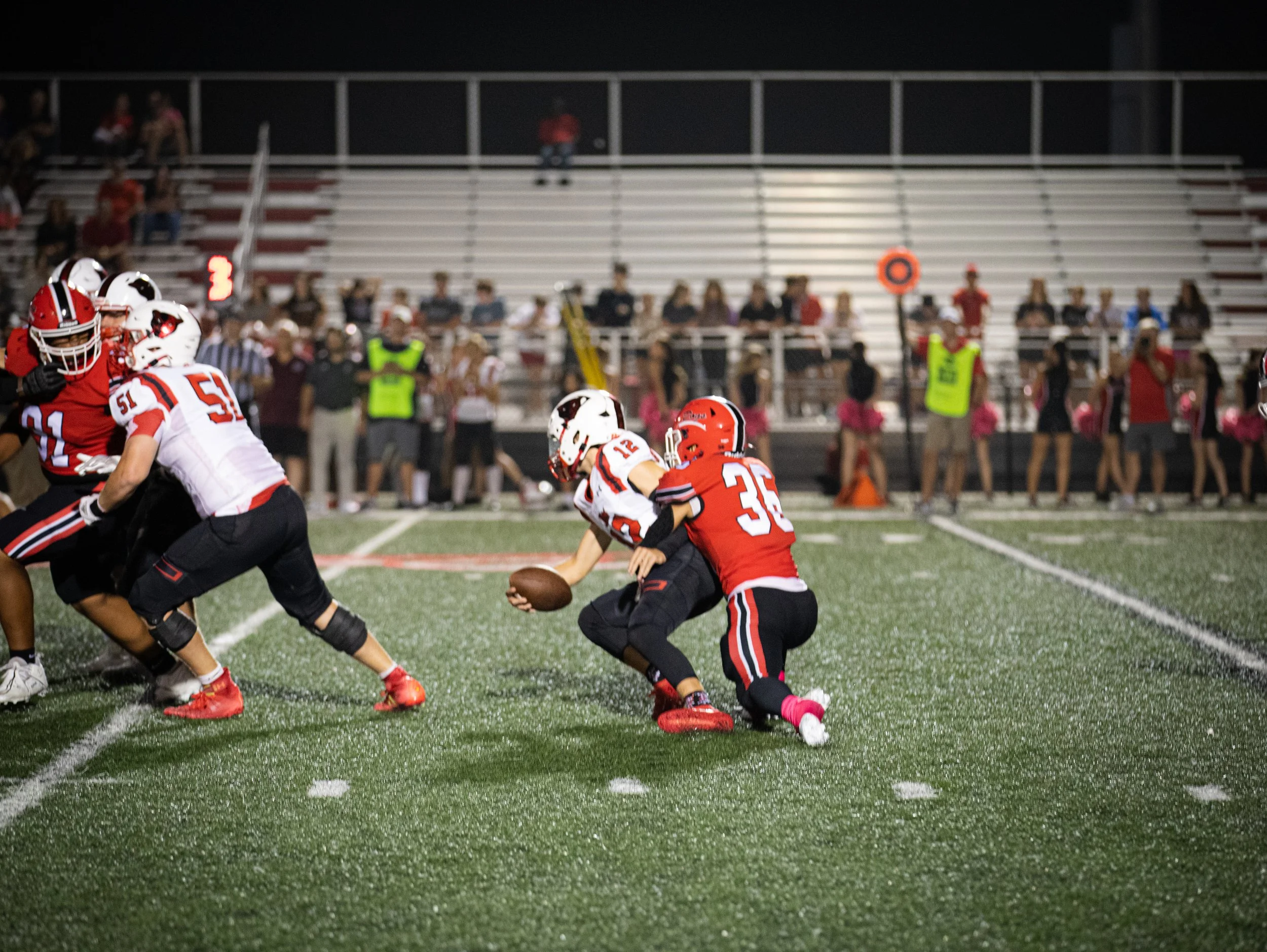 PETAL-13.jpg