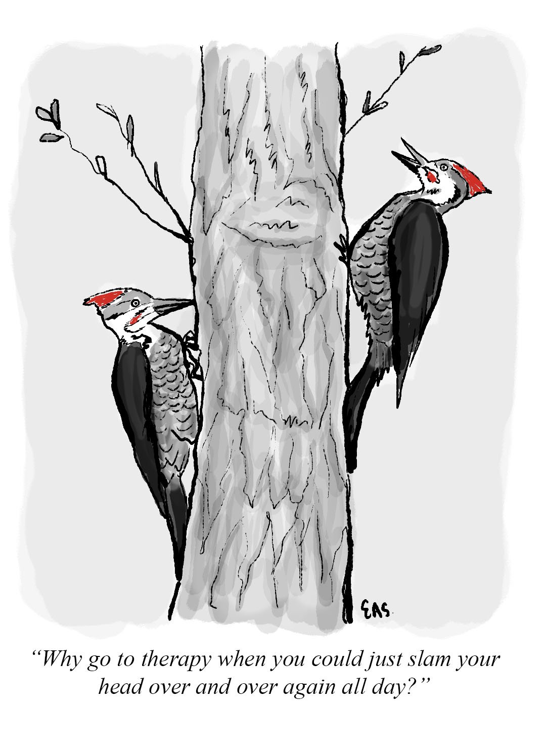 Woodpeckers, The Private Eye 