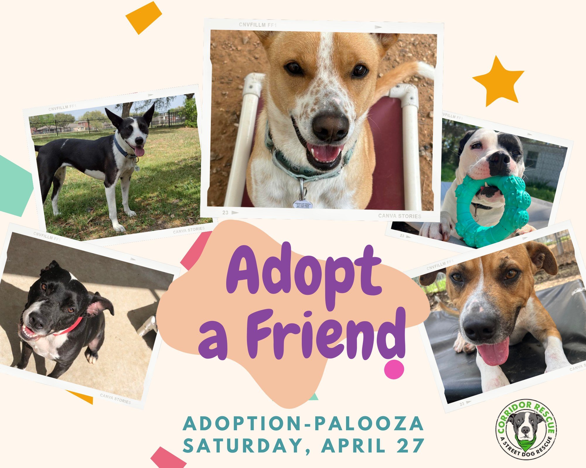 DON'T FORGET - We'll be at Adoption Palooza on Saturday, April 27, and we're bringing along some &quot;pawsome&quot; adoptables that can't wait to meet you!  Come out and meet:
Tasha
Eenie
Nikoli
Freckles
Rango
And you never know, a puppy or two migh