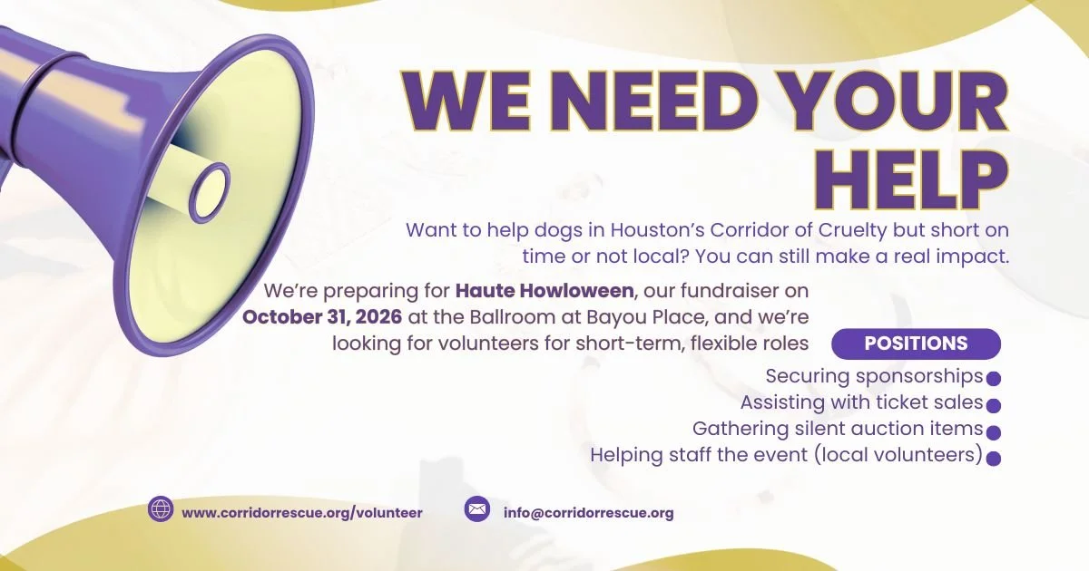 Want to help dogs in Houston&rsquo;s Corridor of Cruelty but short on time or not local? You can still make a real impact.

We&rsquo;re preparing for Haute Howloween, our fundraiser on October 31, 2026 at the Ballroom at Bayou Place, and we&rsquo;re 