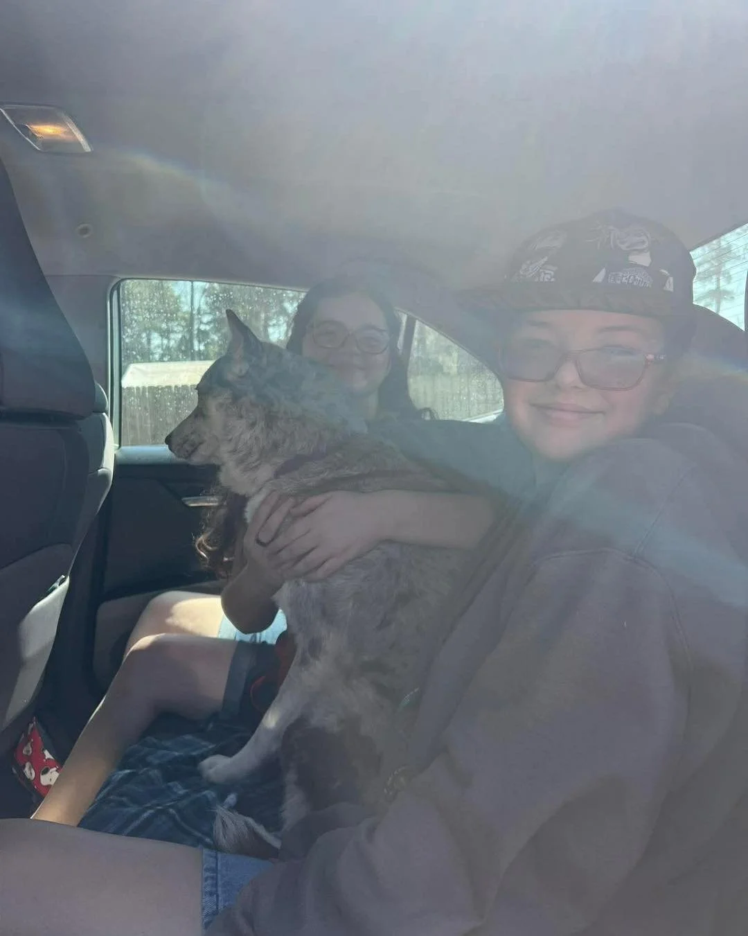 Adoption Update #8, Athina!

Back-to-back foster fails&hellip; and we couldn&rsquo;t be happier about it! 

First, Cleopatra stole her foster&rsquo;s heart and made it official. And now, Athina has followed in those same paw prints&mdash;adopted by h