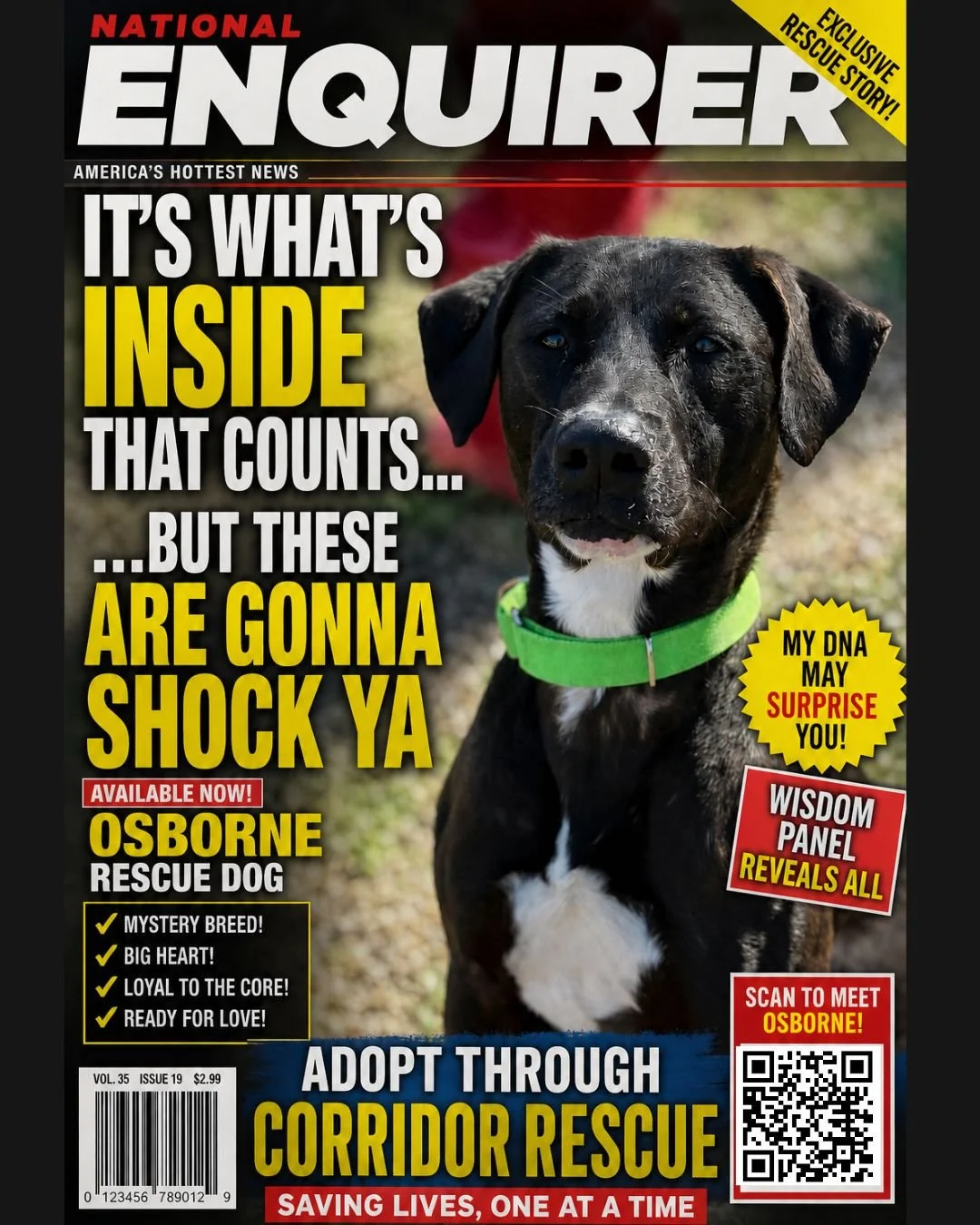 Update on our Corridor Rescue  @wisdompanel  DNA Files

🧬 FILE #1: OSBOURNE

We were prepared for a normal DNA result.

Instead, Osborne apparently looked at the Wisdom Panel and said:
&ldquo;Absolutely not.&rdquo;

This handsome guy&rsquo;s results