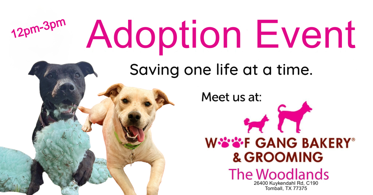 Wolf Gang Bakery and Grooming Adoption Event 