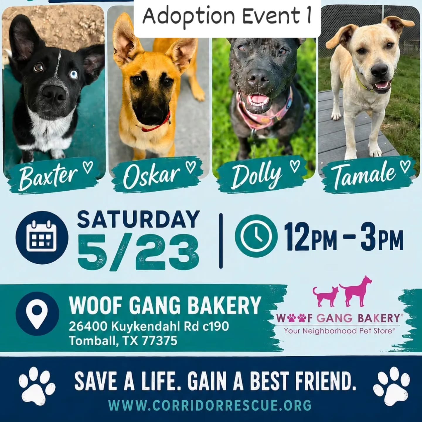 We have 2 adoption events scheduled this Saturday, May 23. Join us at Wolf Gang Bakery in Tomball or Hollywood Feed in Magnolia from 12pm-2pm.
Learn more about our adoptable pups at
www.corridorrescue.org/adopt

#dogs #adoptdontshop #hollywoodfeed #w