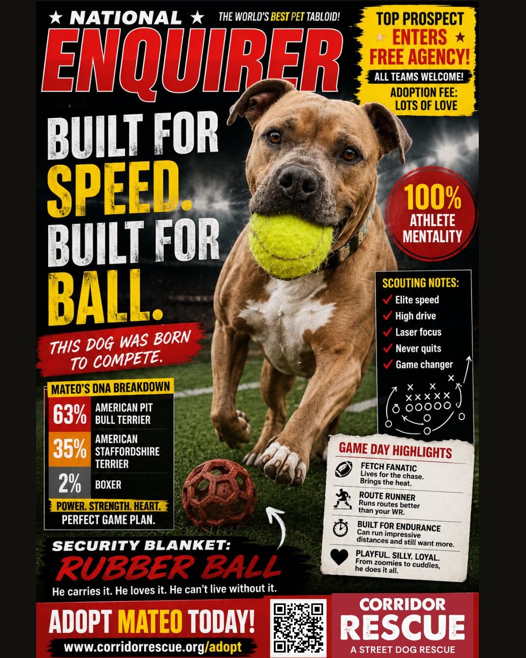 🧬 FILE #5: MATEO
🚨 FREE AGENT ALERT 🚨
Top prospect Mateo has officially entered the adoption transfer portal. His @wisdompanel results are in!
Scouting report:
⚾ Elite fetch drive
🏃 Incredible speed
🏈 Carries his ball like emotional support equi
