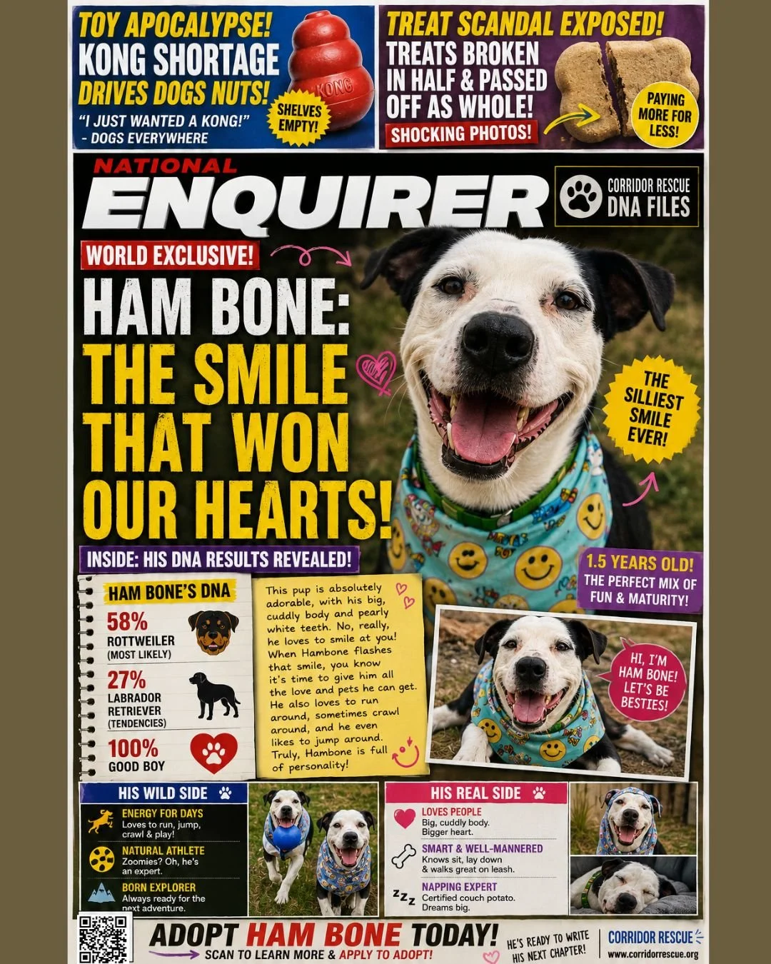 🧬 FILE #8: HAM BONE
BREAKING NEWS:
Treats are reportedly being broken in half and passed off as whole treats. 🍪🚨
Ham Bone is demanding answers.
This smiling menace has DNA that says &ldquo;Rottweiler&rdquo;&hellip;
&hellip;but emotionally?
He&rsqu