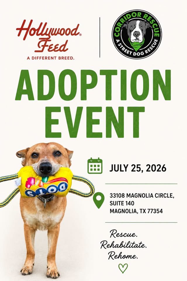 Hollywood Feed Adoption Event