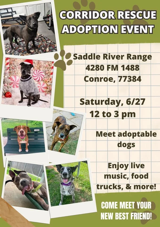 Saddle Ridge Adoption Event