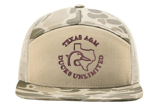 Hat 3.png