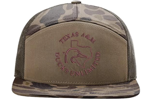 Hat 2.png