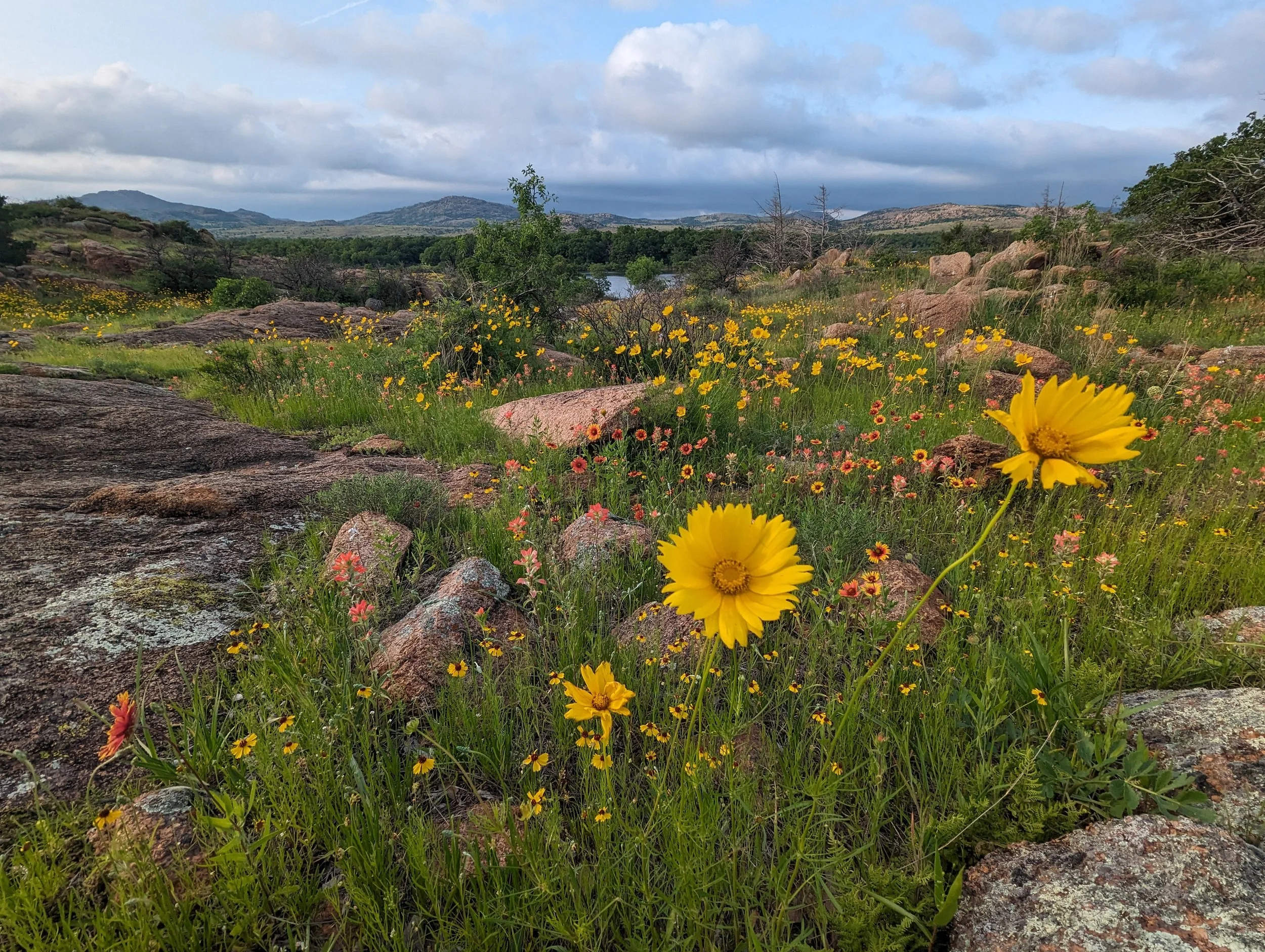 PXL_20240504_235225676 (1).jpg