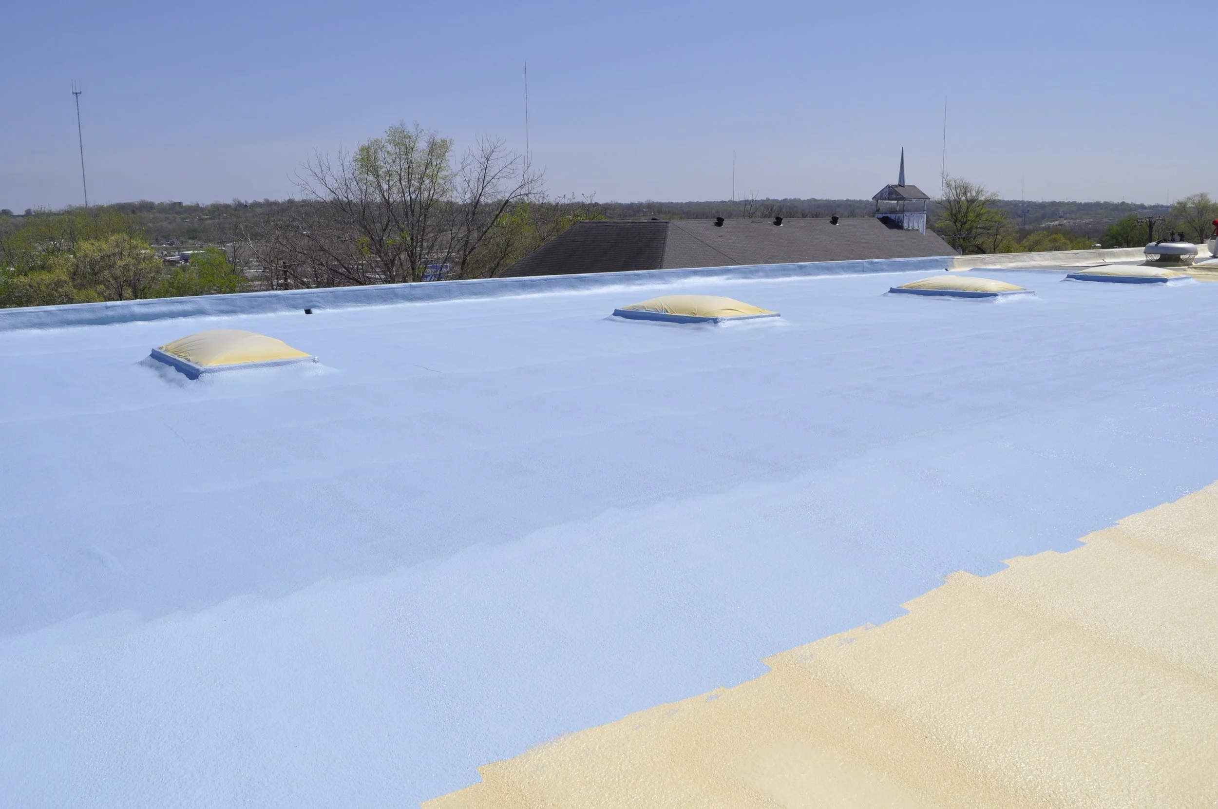 Benchmar Primer_4.JPG