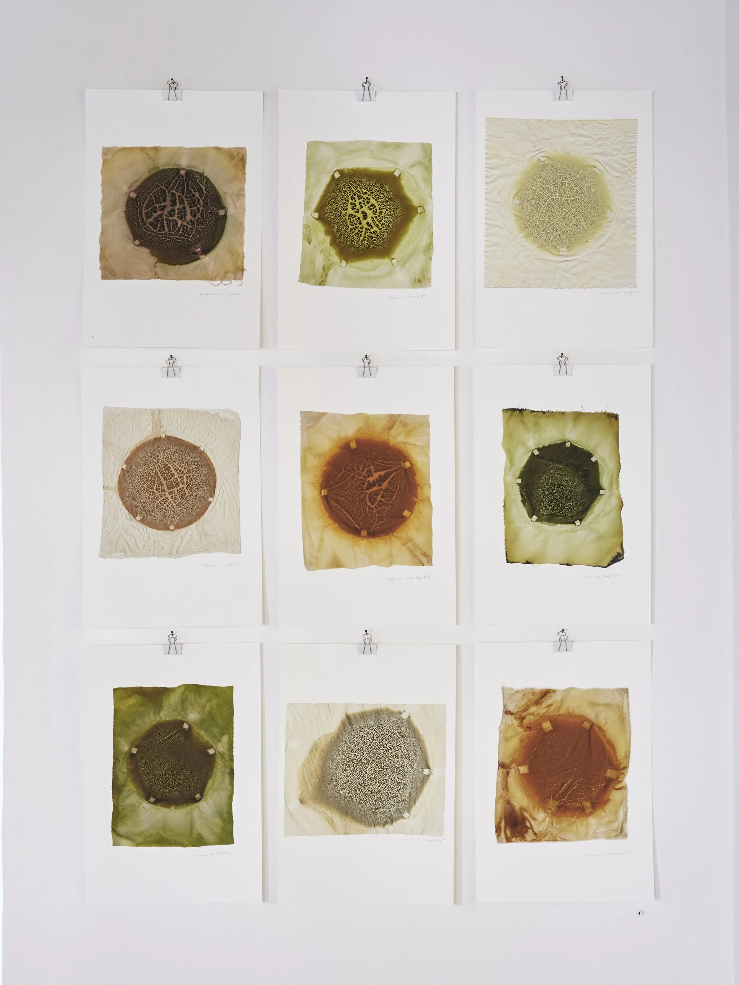 2025_11_24_FolkLore_047 1.jpg