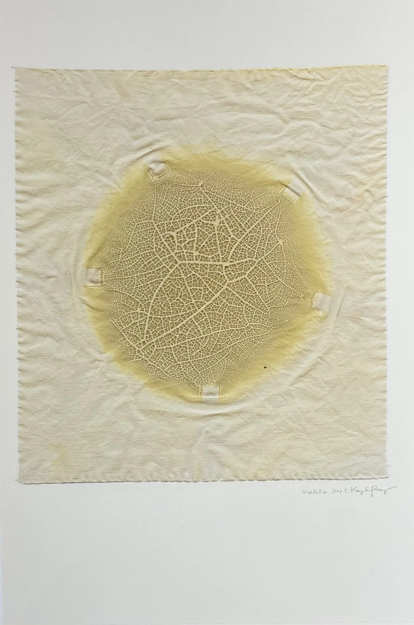 KAYLA POWERS  
Chromatic Ecology | Violeta (2025)  
13” x 19”  
Archival pigment prints on Moab entrada acid free watercolor paper  
$250