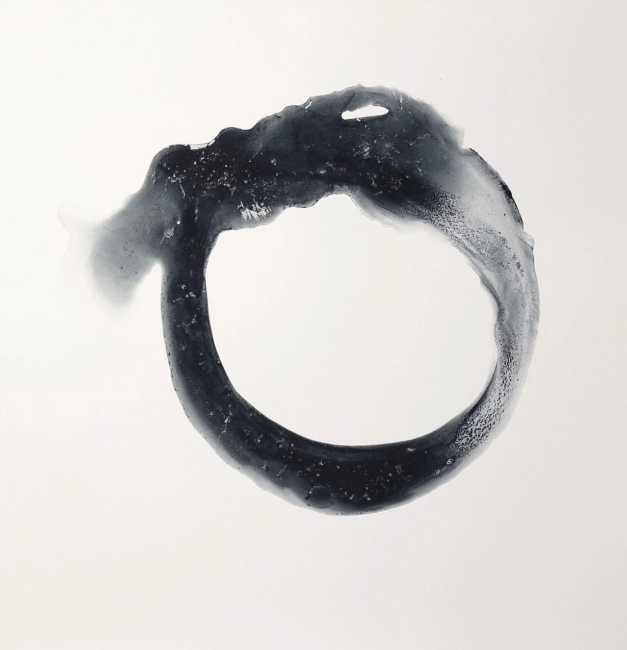 SAN CANESSA  
INI (2025)  
14” x 14”  
Indigo and Rain Water on Polypropylene 200g  
$975