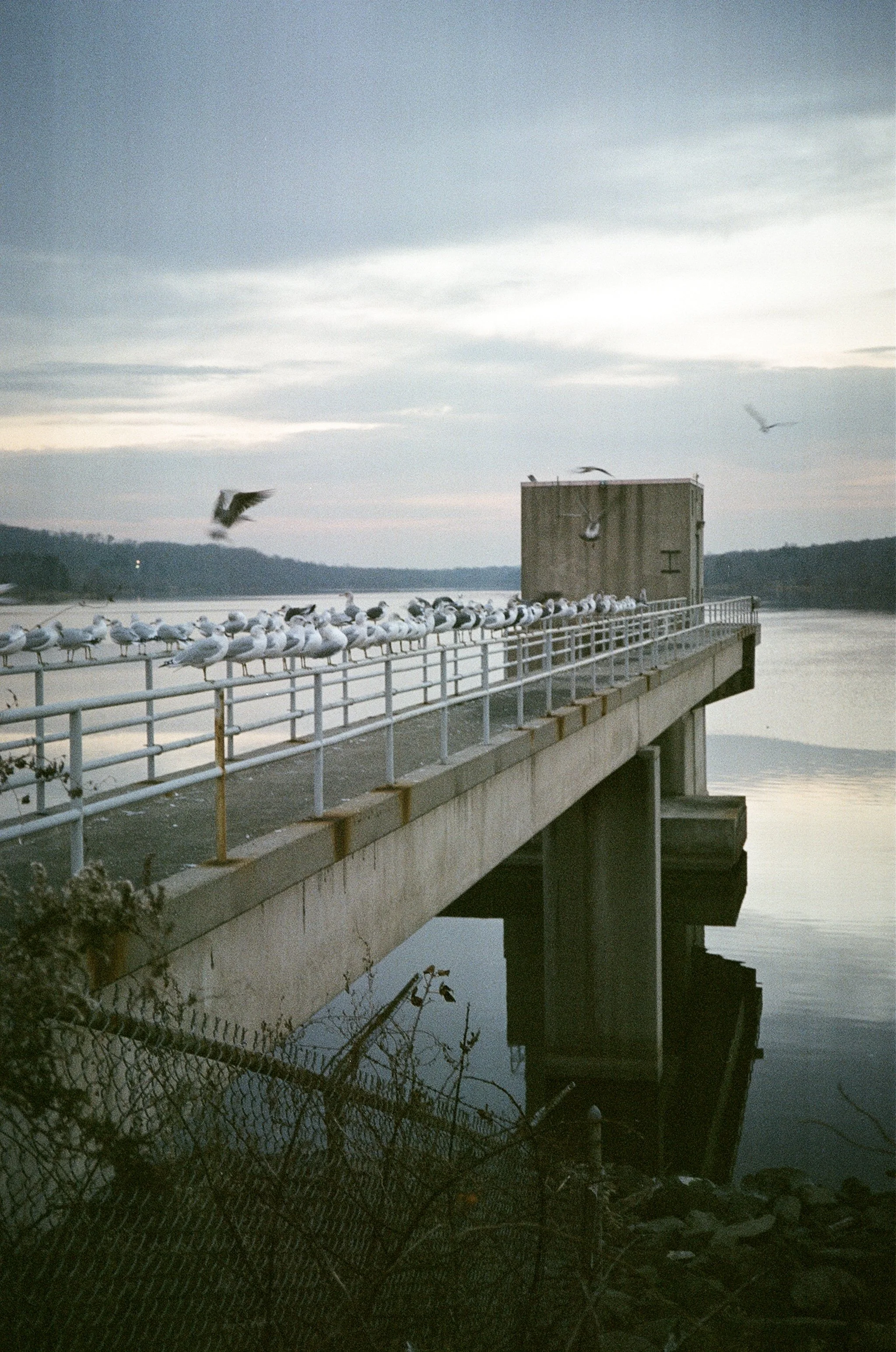 the lake