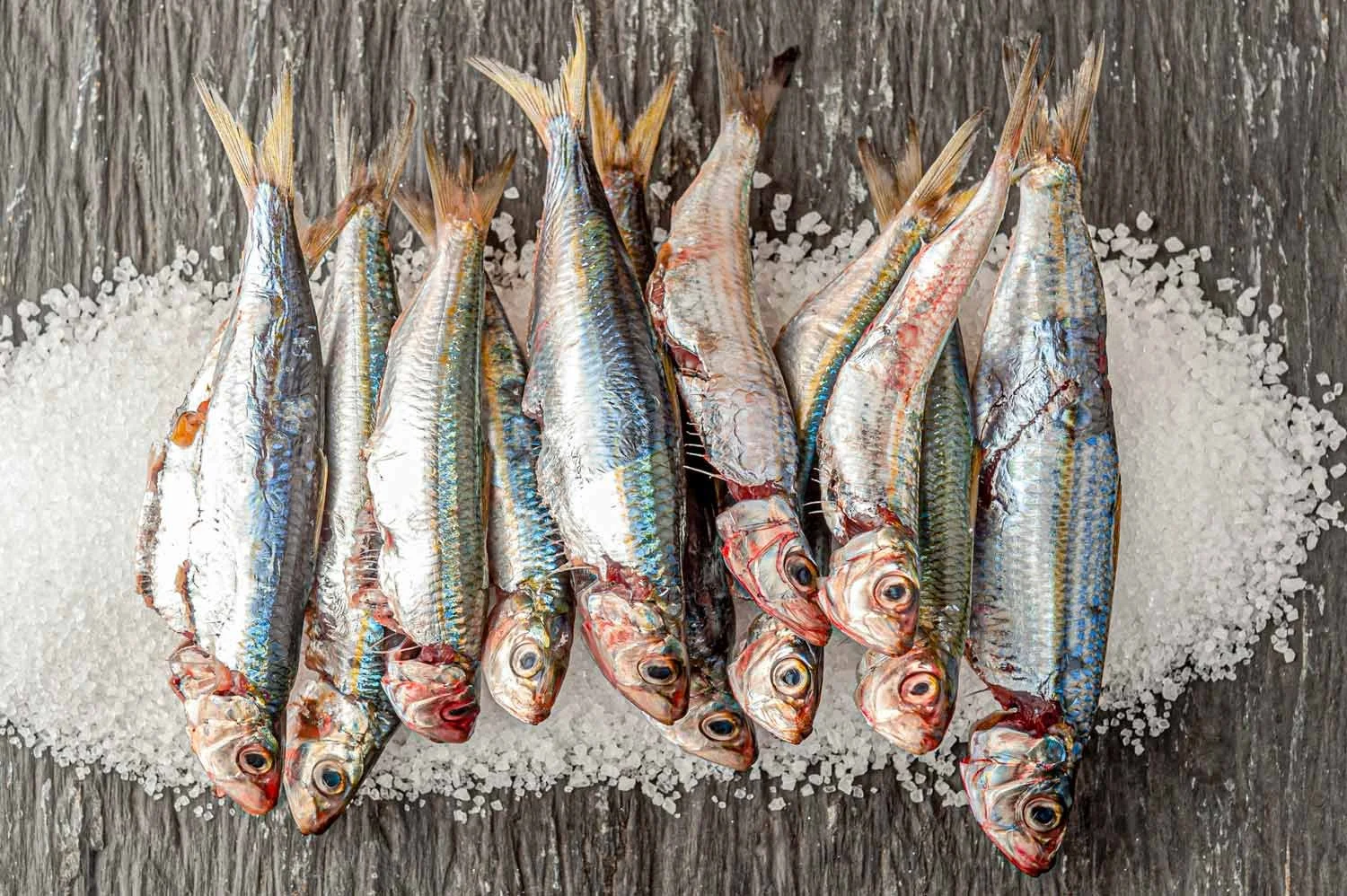 fresh-catch-sardines-sea-salt-unaevstudio.jpg