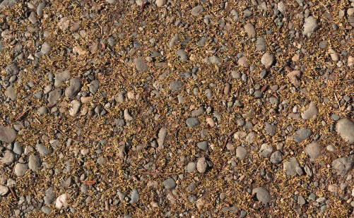 Screenshot 2024-01-08 at 10.15.03 PM.png