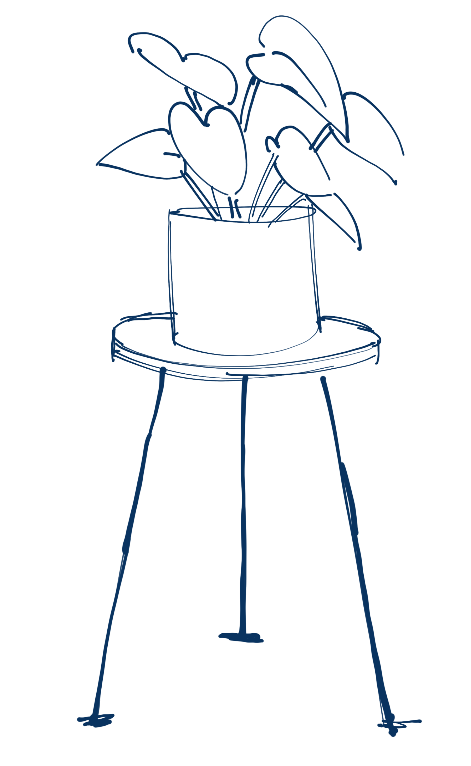 Line drawing of a potted plant with large leaves on a round table, against a black background.