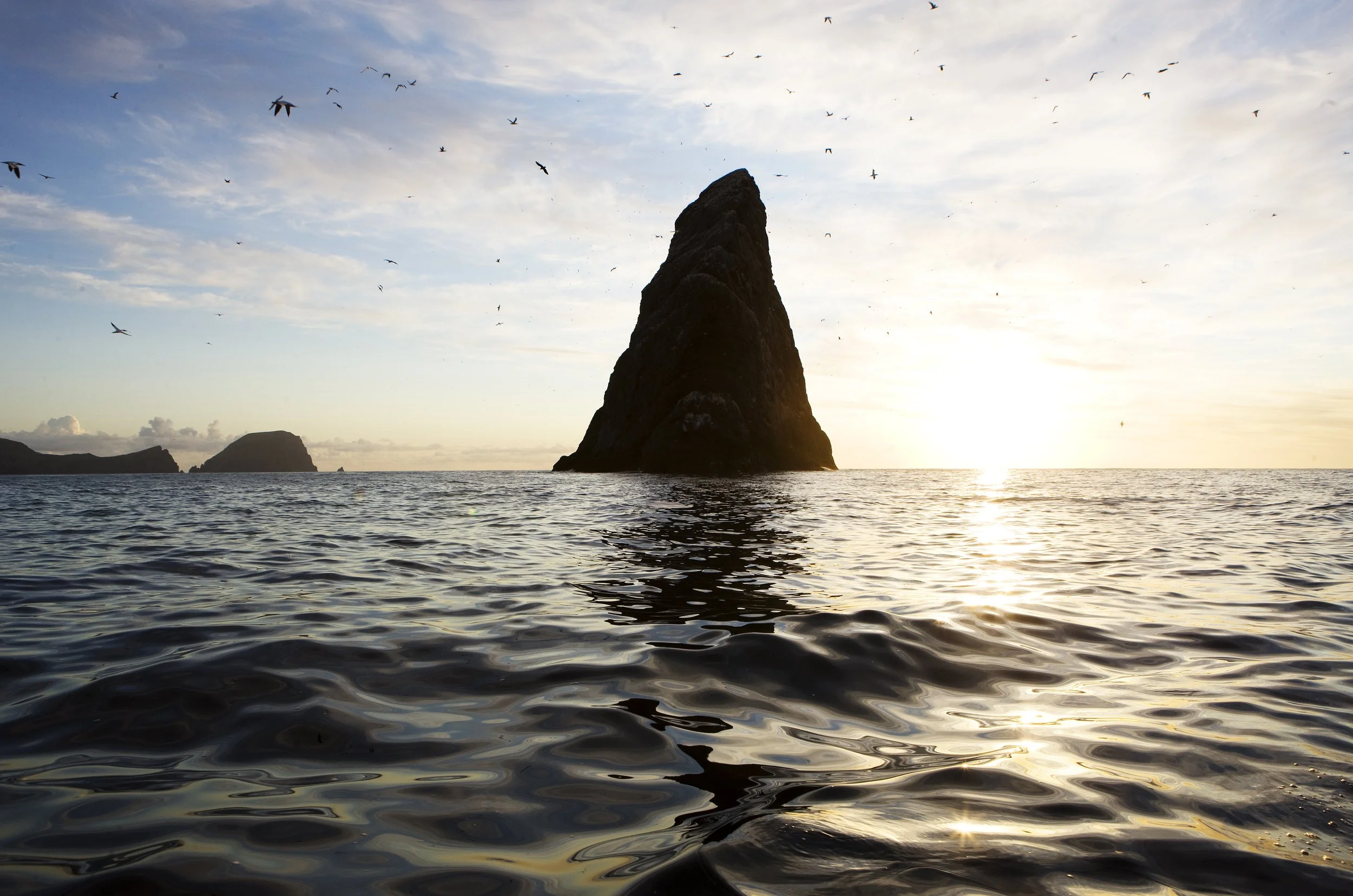 Murdos_Kilda_47 2.jpg