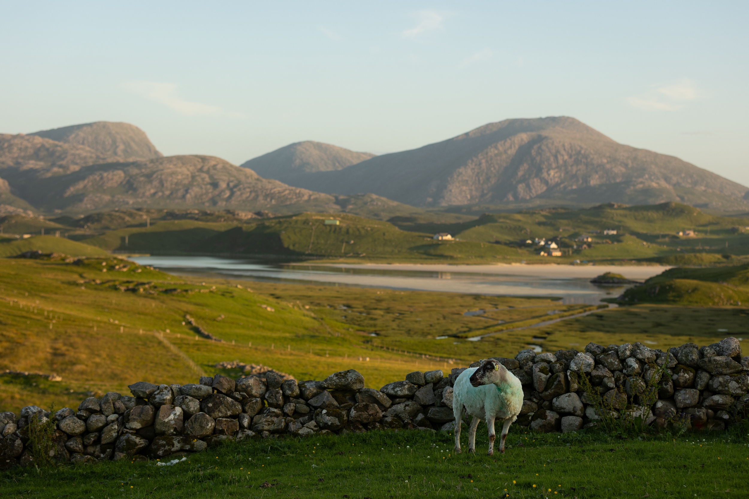 Uig Summer Katrina Stewart-4.png