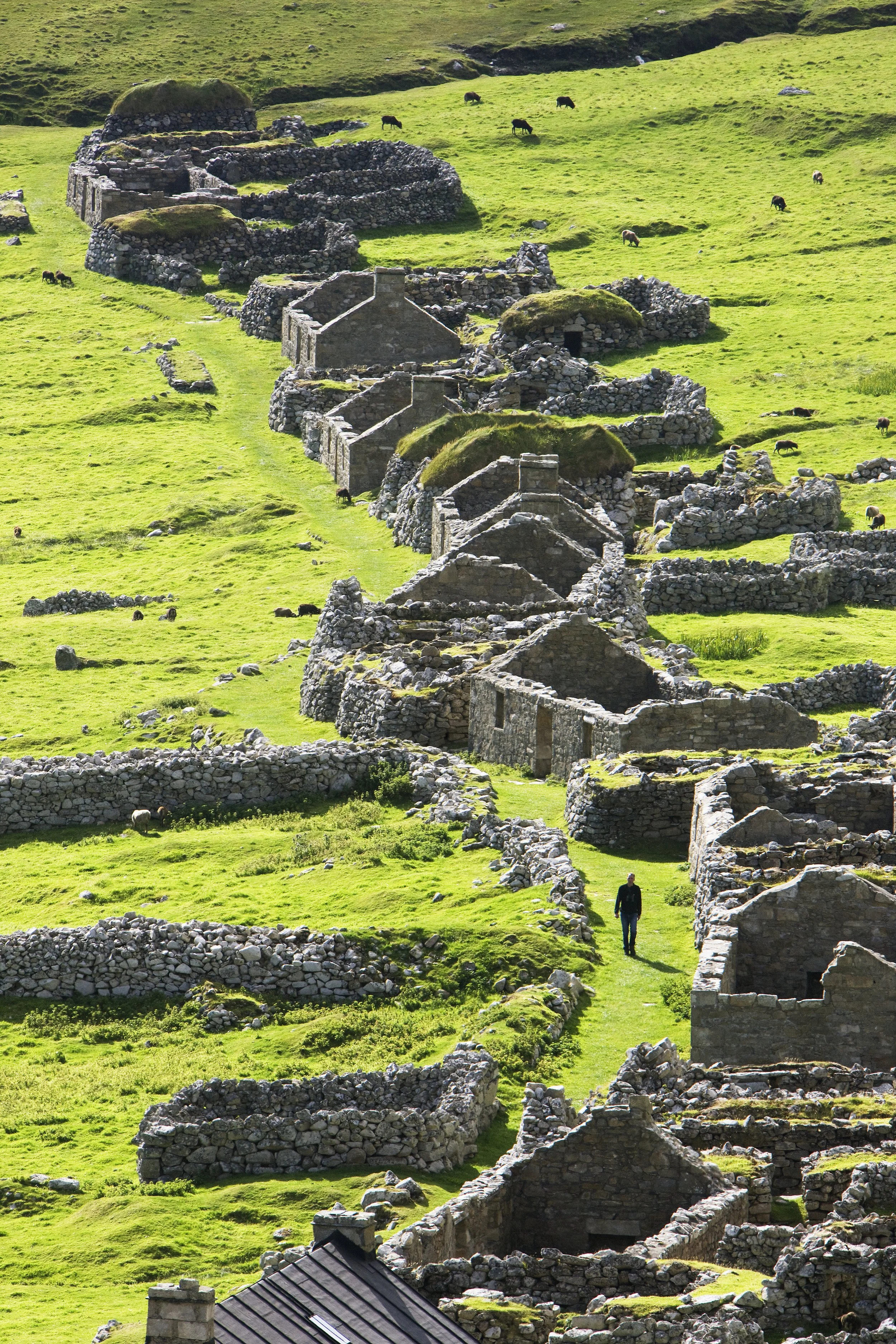 Ancient stone ruins on a hillside with green grass, scattered sheep, and a person walking among the structures.