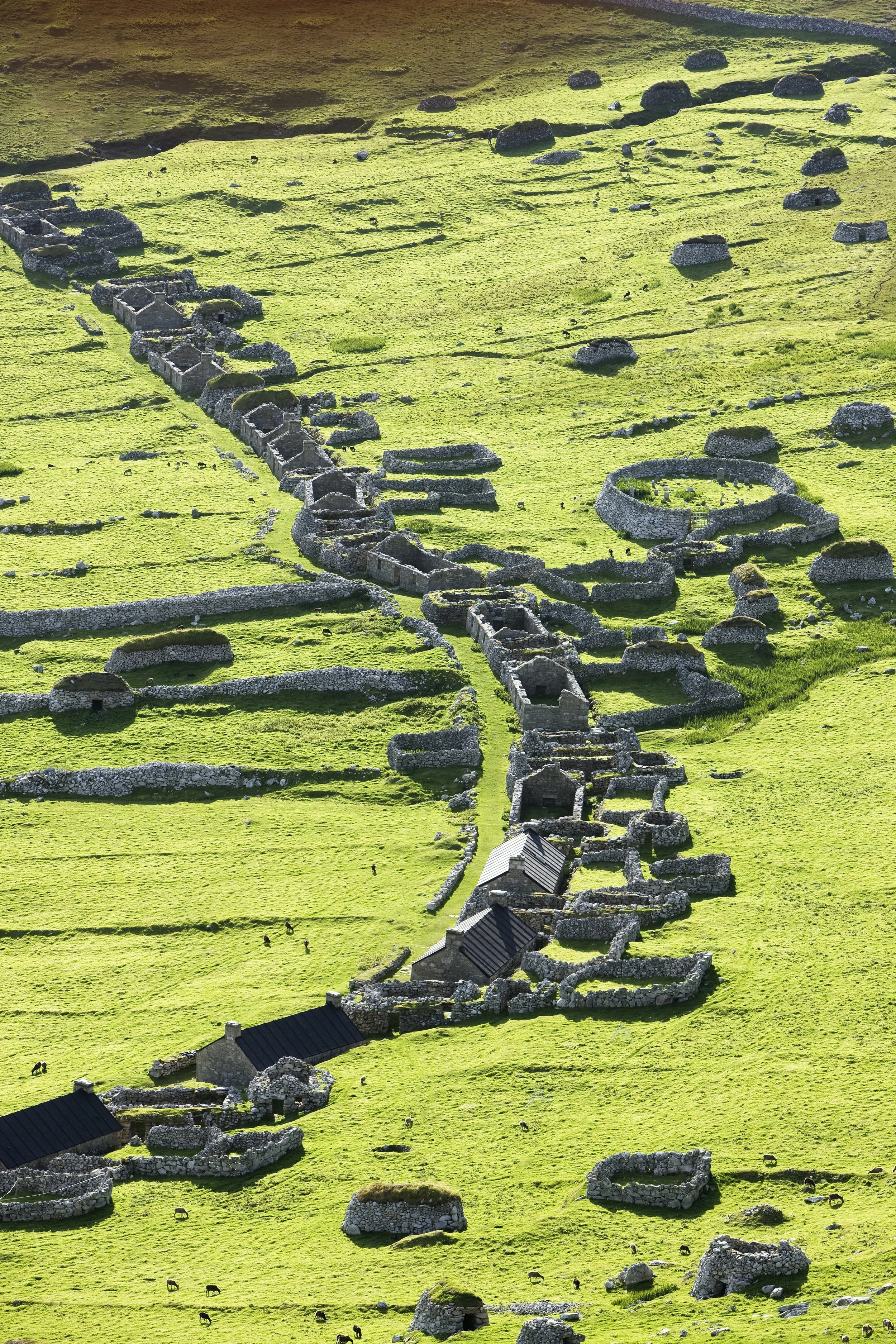 Murdos_Kilda_168 2.jpg