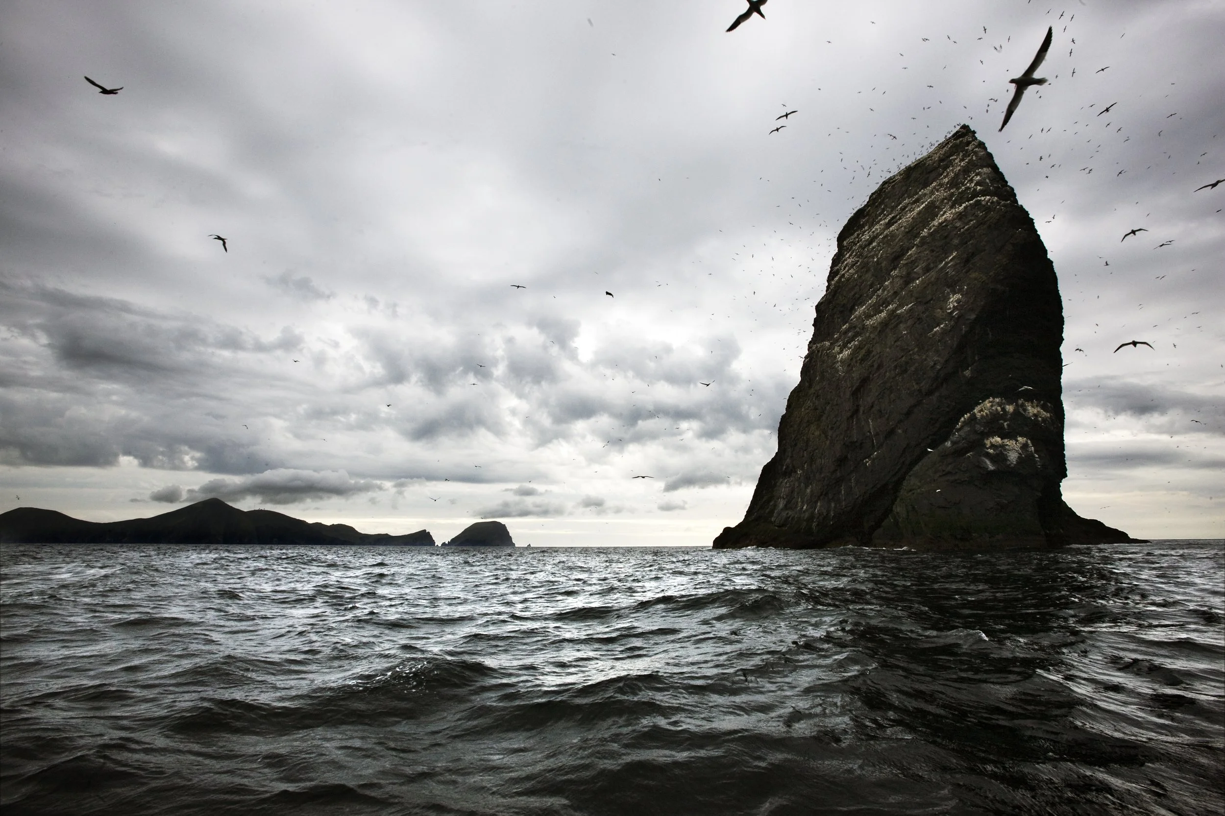 Murdos_Kilda_117 2.jpg