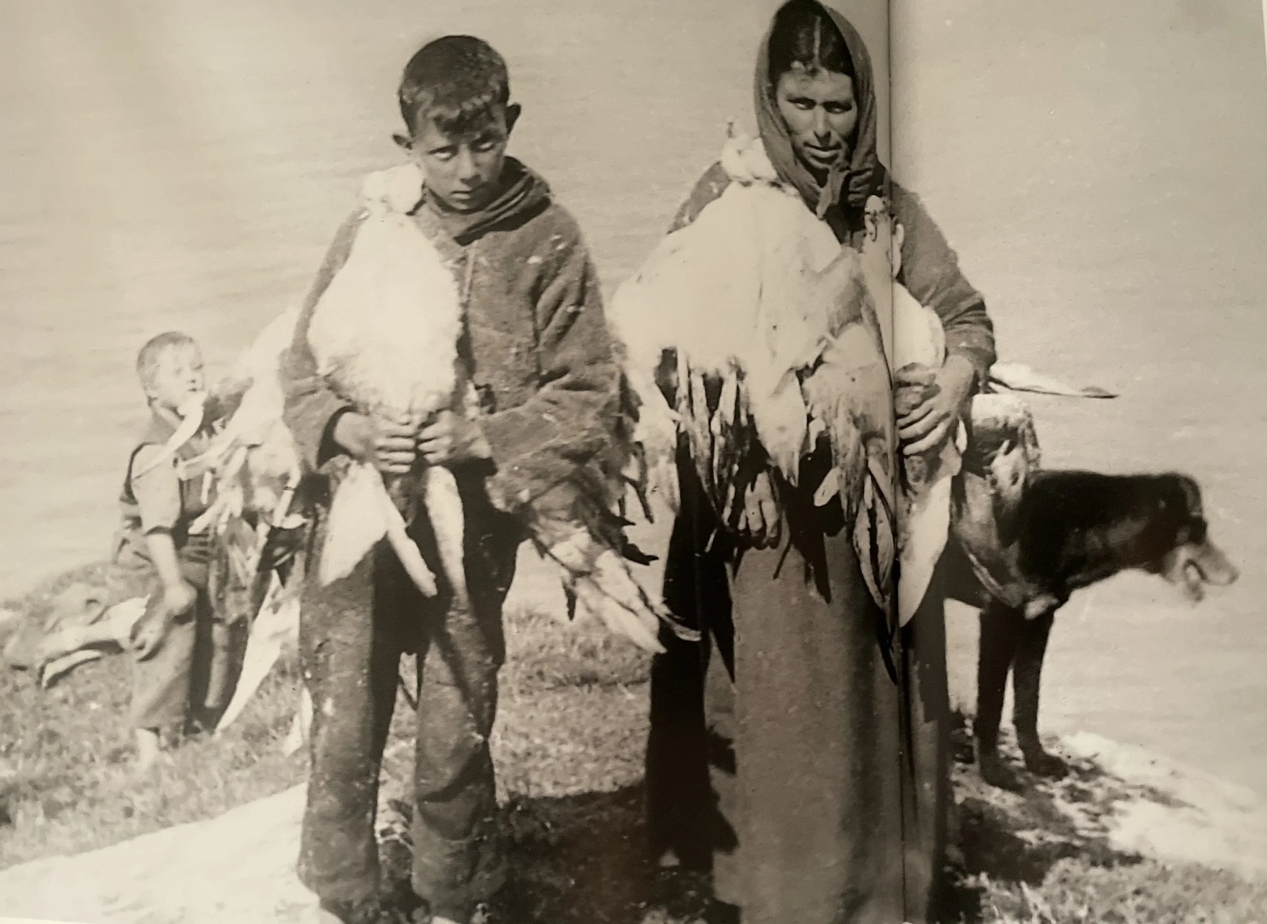 A black and white photo of a woman and a boy standing outdoors on the grass, both holding ducks by their necks. The woman has a headscarf and is accompanied by a dog. In the background, a young girl is carrying a display of many ducks.