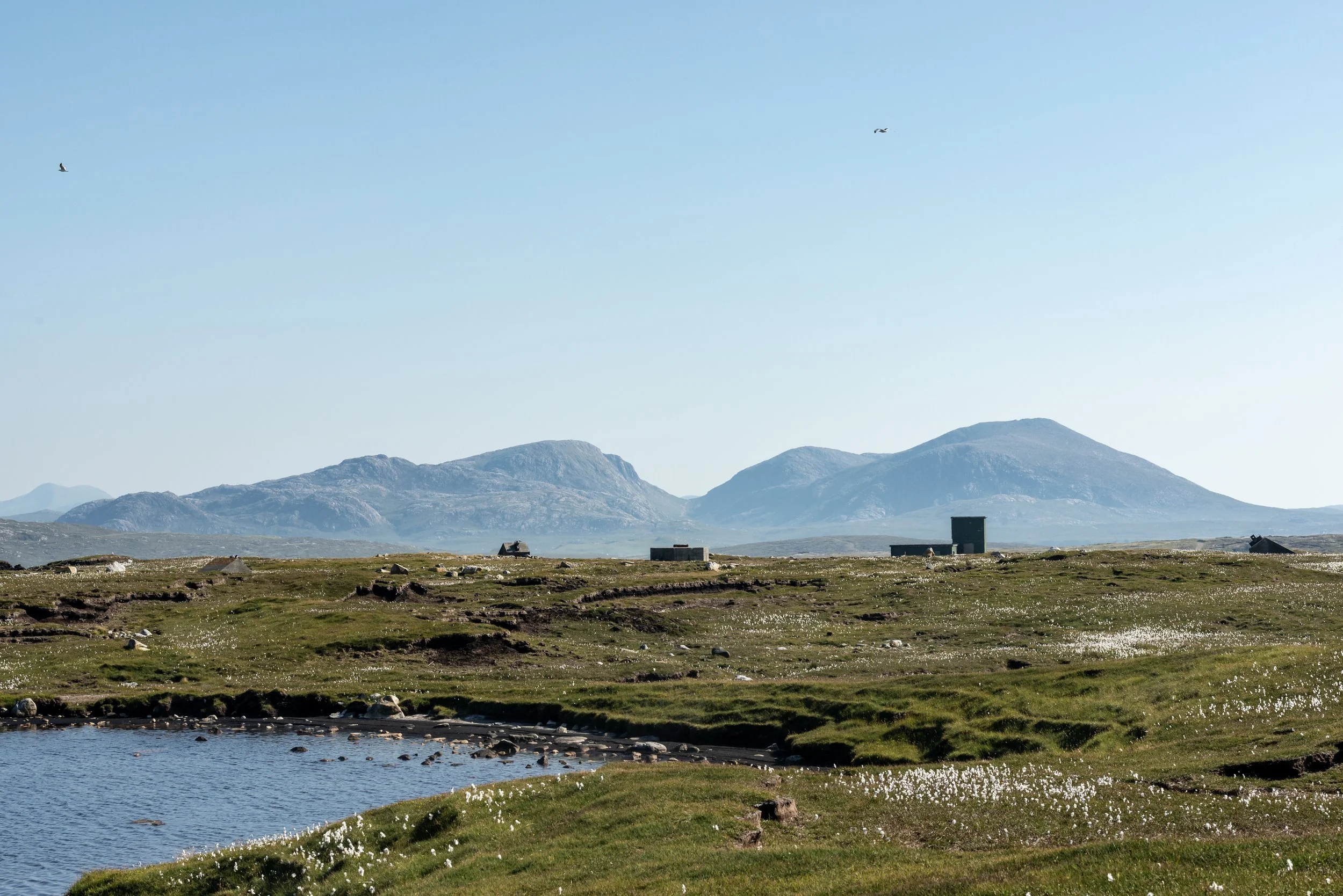 A landscape of a grassy field with small bodies of water, scattered rocks, and distant mountains under a clear blue sky, with two birds flying overhead. Uig, Isle of Lewis