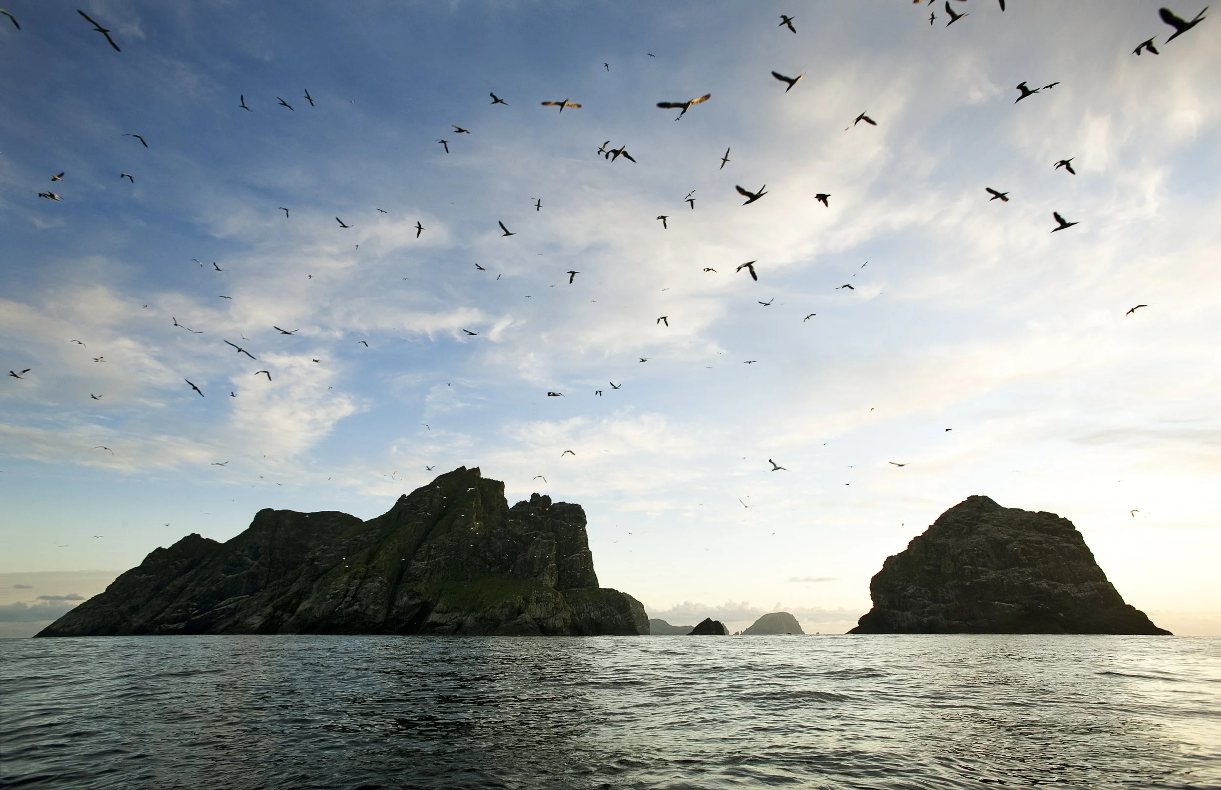 Murdos_Kilda_48 2.jpg