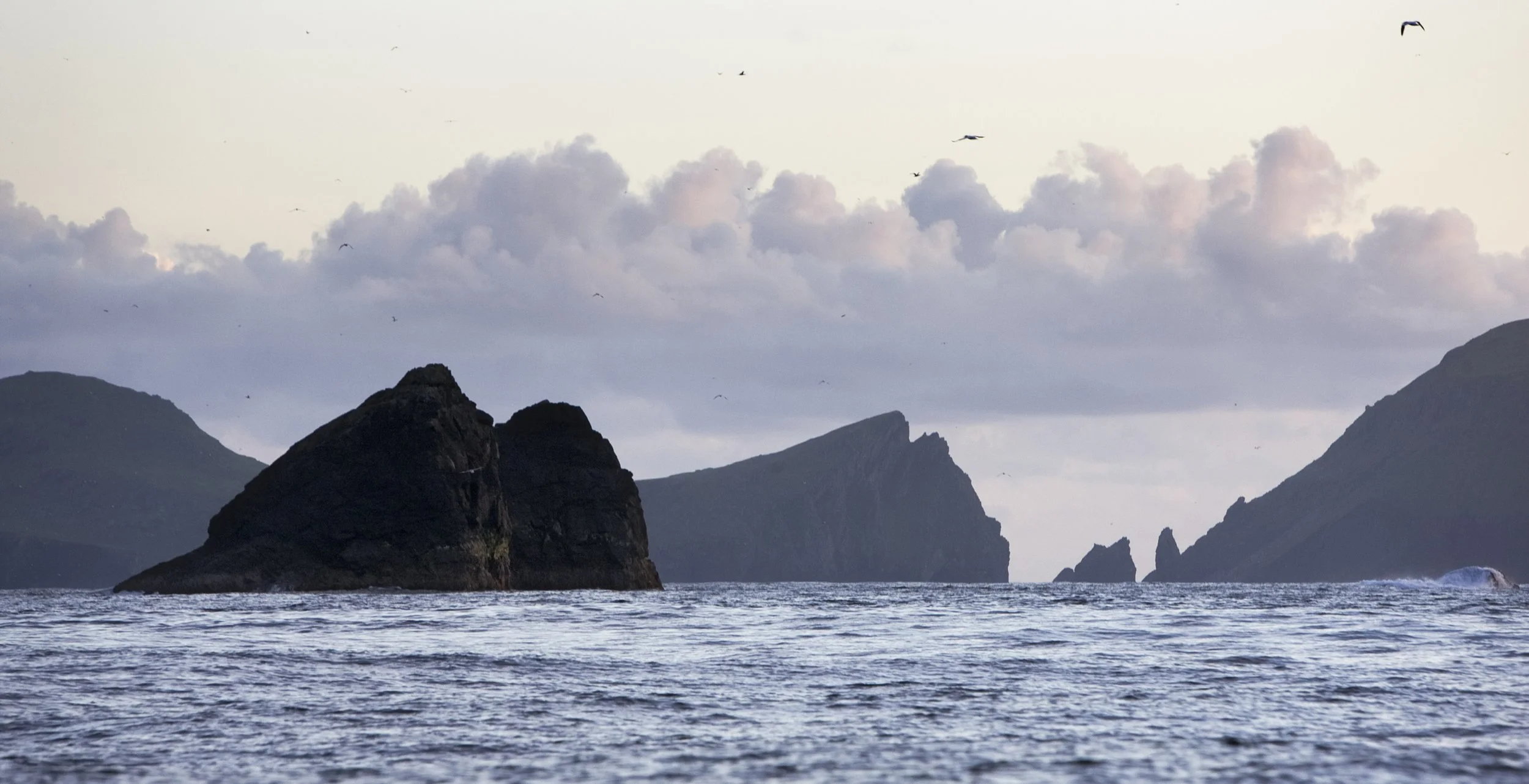 Murdos_Kilda_50 2.jpg