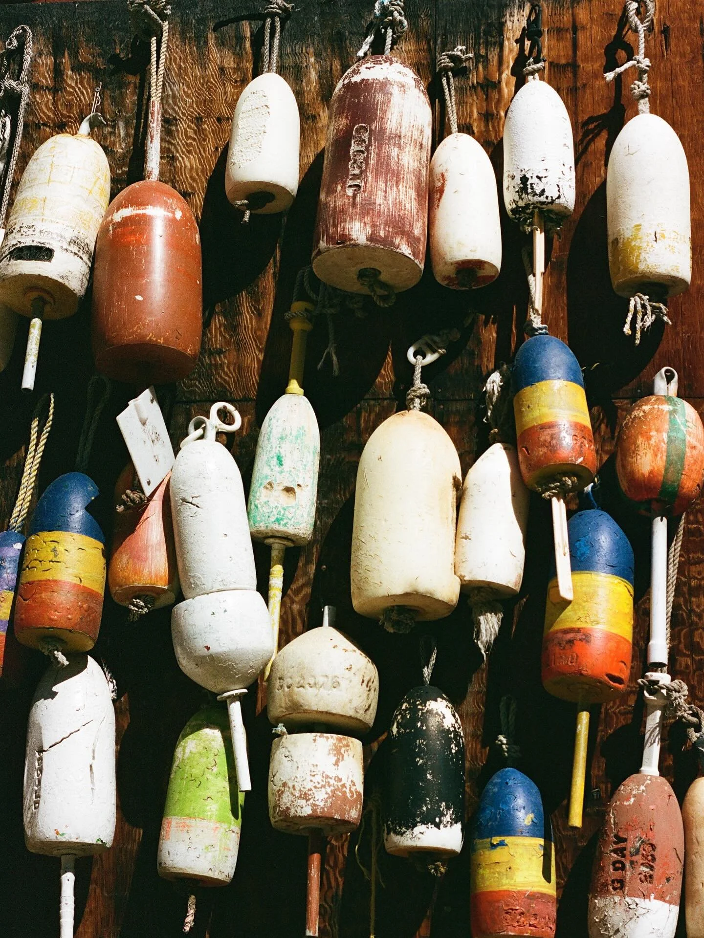 Life lately part 2 on 35mm film