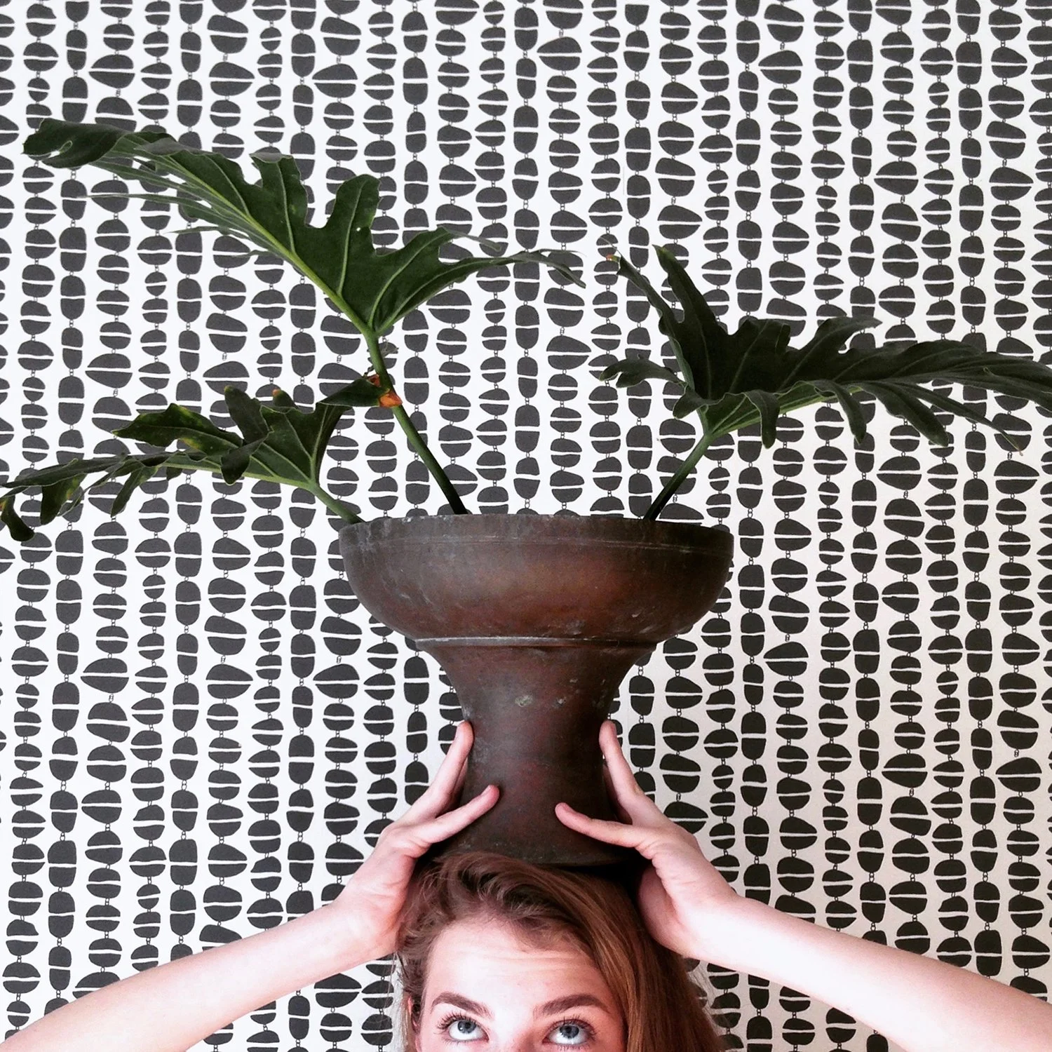 WOI_JULY2016_sadie_russianriverrocks_madisonandgrow.jpg