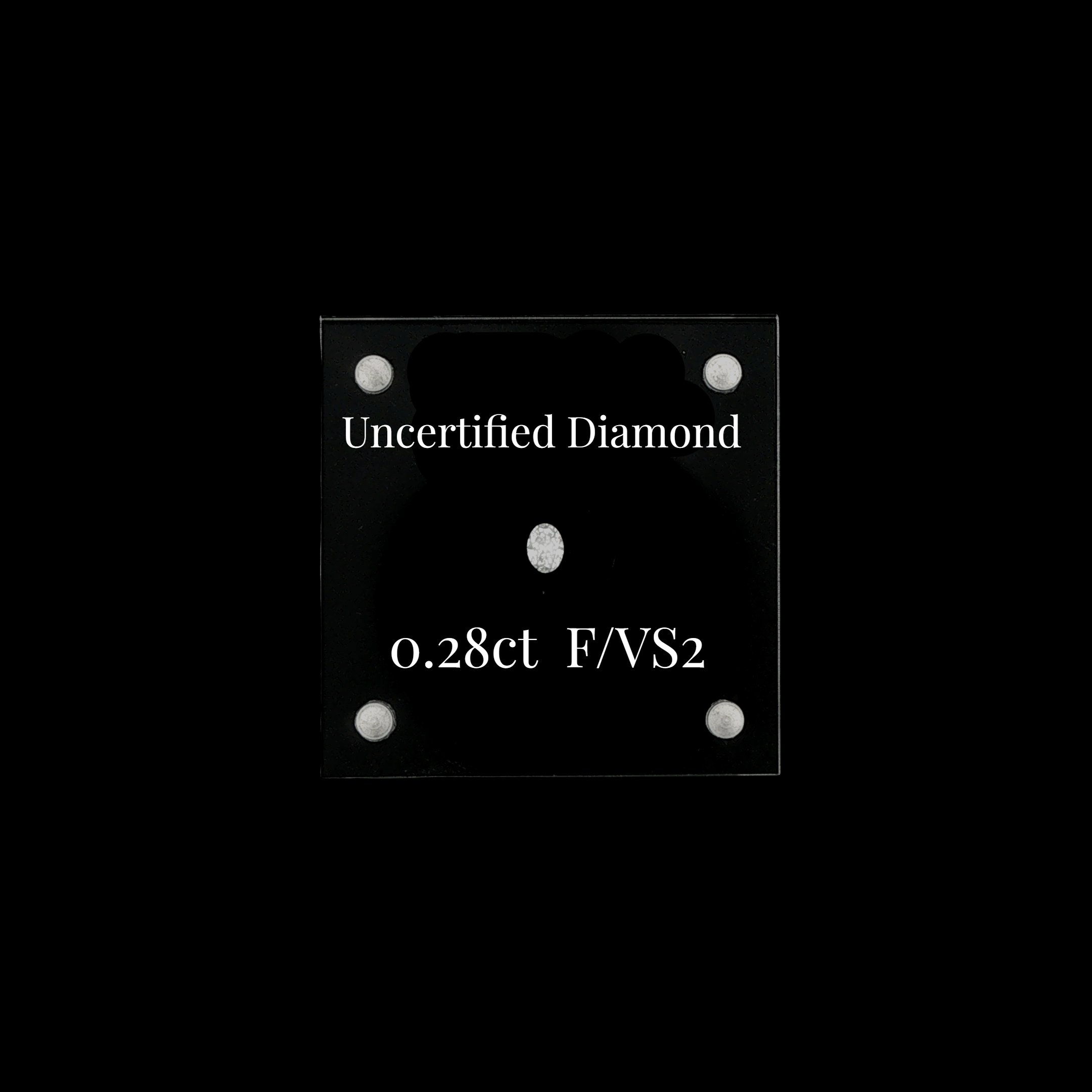 UN-0758.jpg