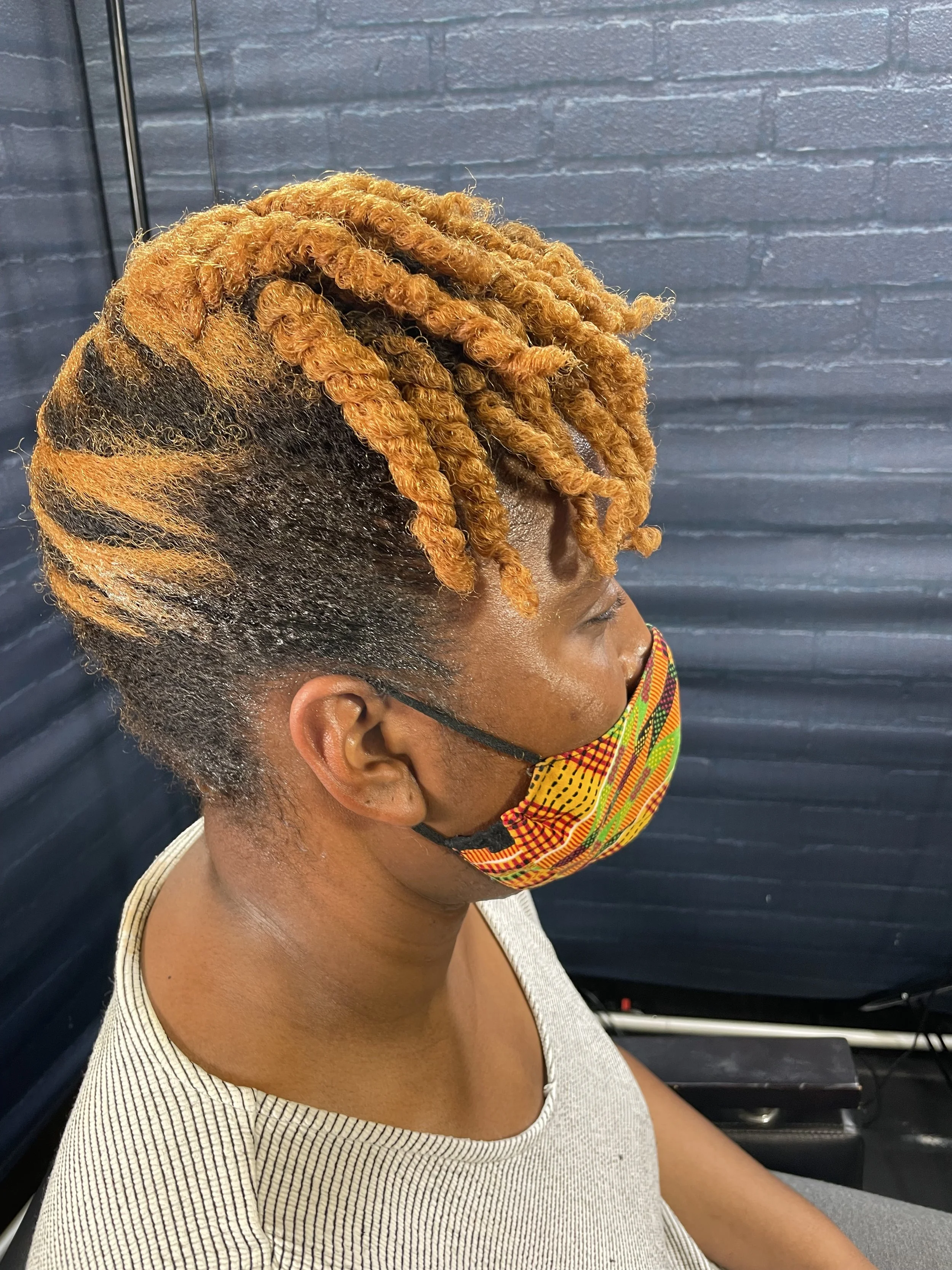 Twist and Shout: Why Professional Two-Strand Twists are a Game Changer