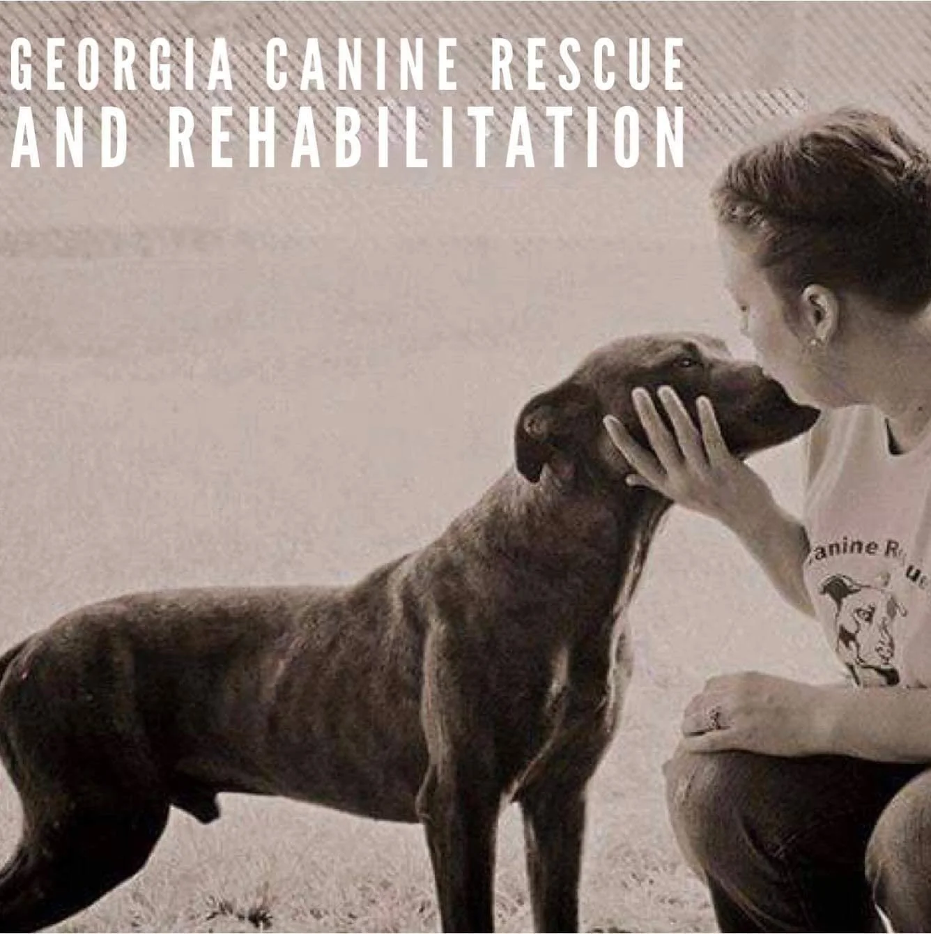 Georgia canine rescue &amp; rehab