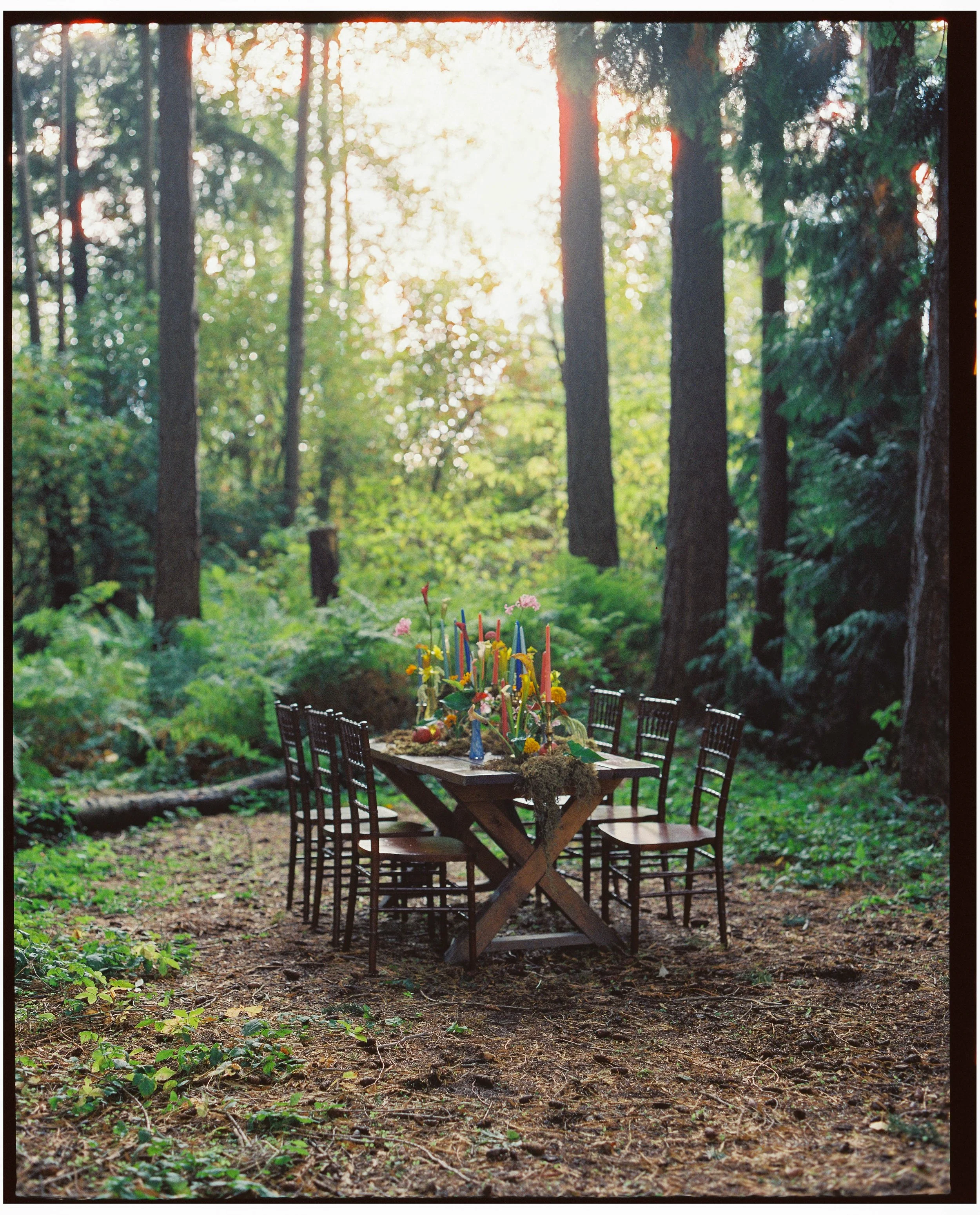 A wooden table set with colorful candles, flowers, and decorations in a forest clearing with tall trees and sunlight filtering through the leaves.