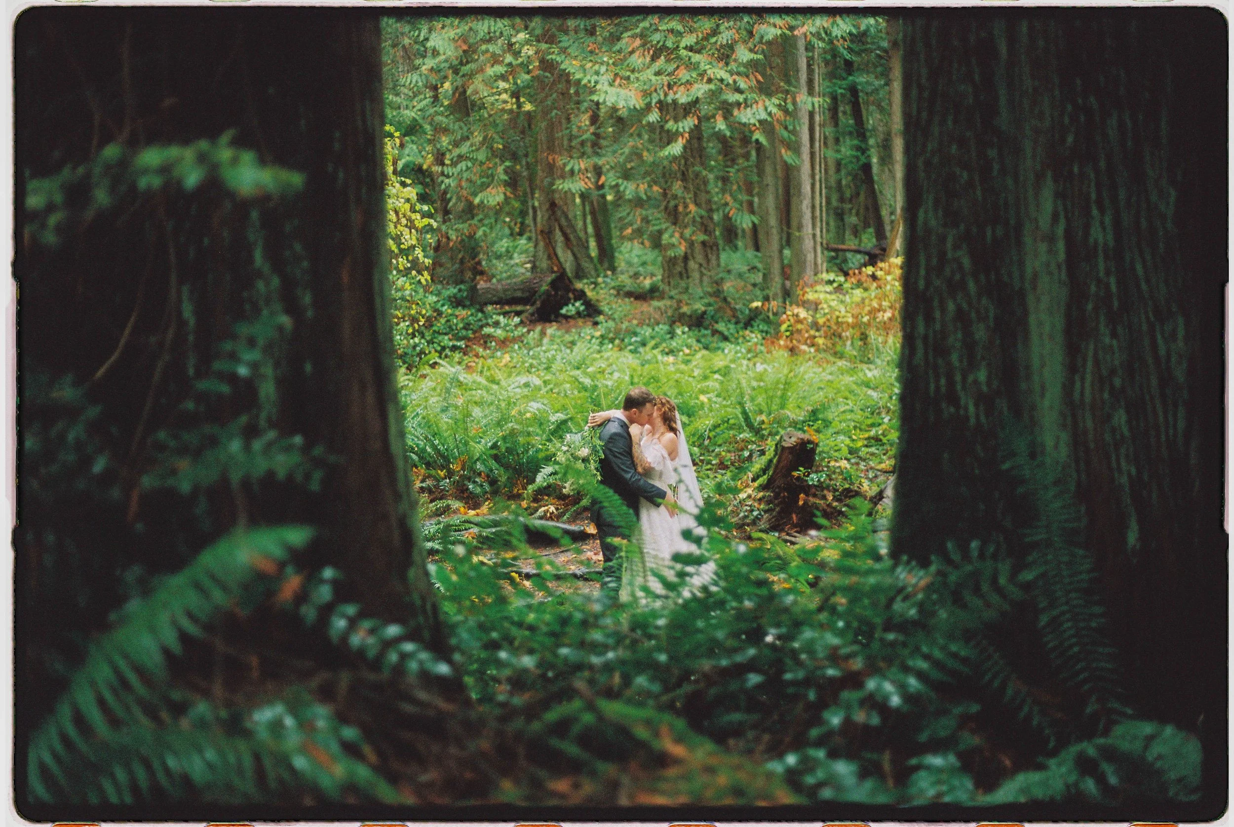 A bride and groom sharing a kiss in a dense, green forest, surrounded by tall trees and lush ferns.