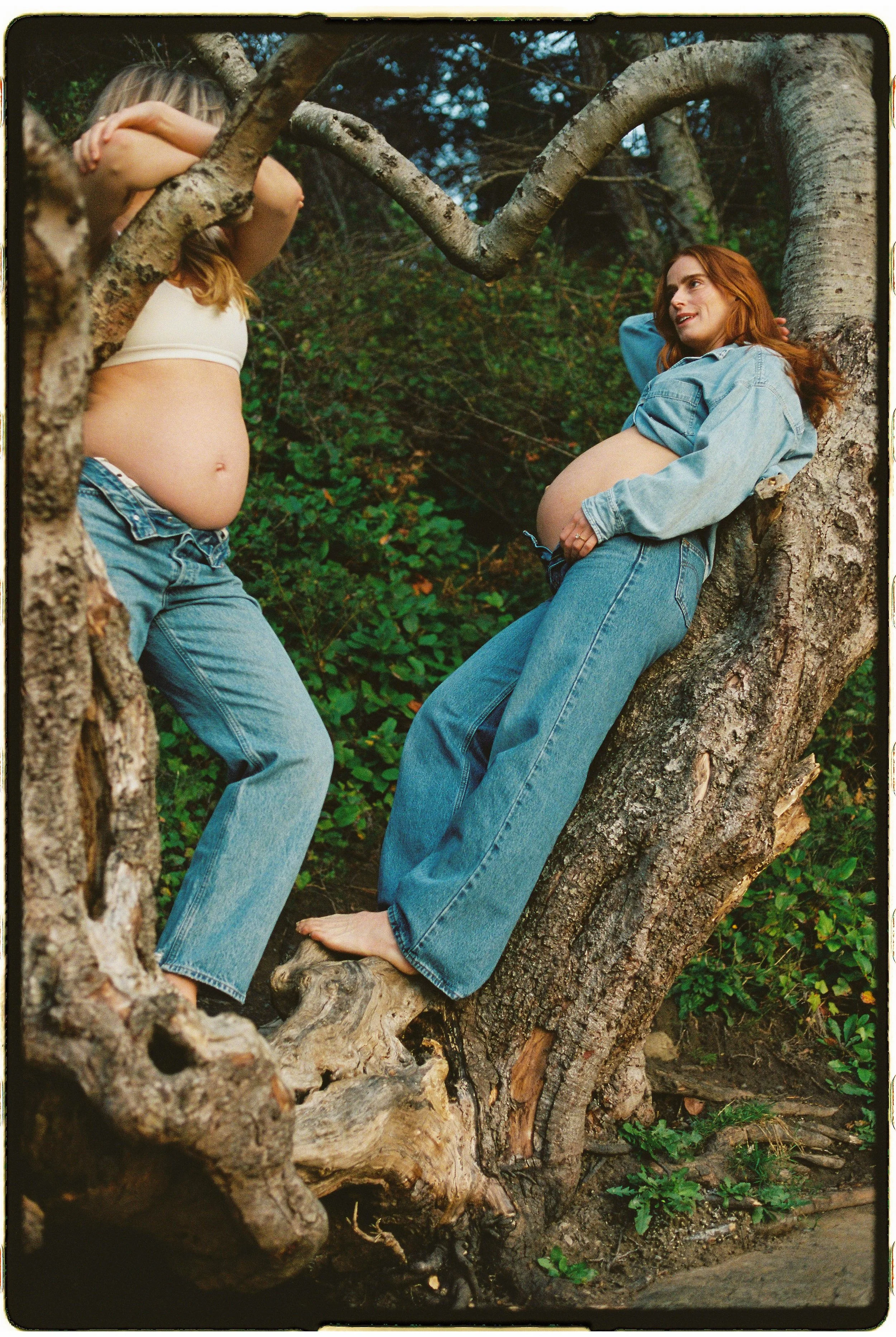 Two pregnant women are outdoors in a wooded area, one sitting on a large tree branch and the other standing nearby. Both women are dressed casually in jeans and are topless, revealing their pregnant bellies.