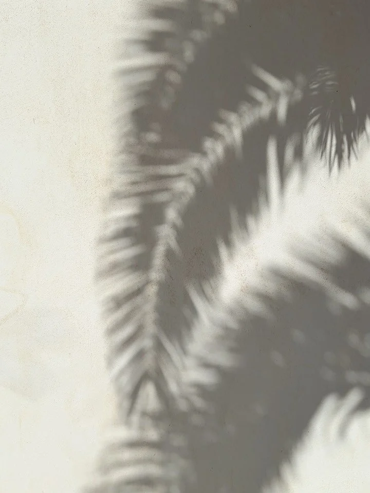 &ldquo;Another year unfolding like soft light at dawn &mdash; on the Canary Island, where the ocean moves with a calm that feels almost like a blessing.
Here, in this luminous corner of the world, I found new friendships blooming effortlessly, and ol