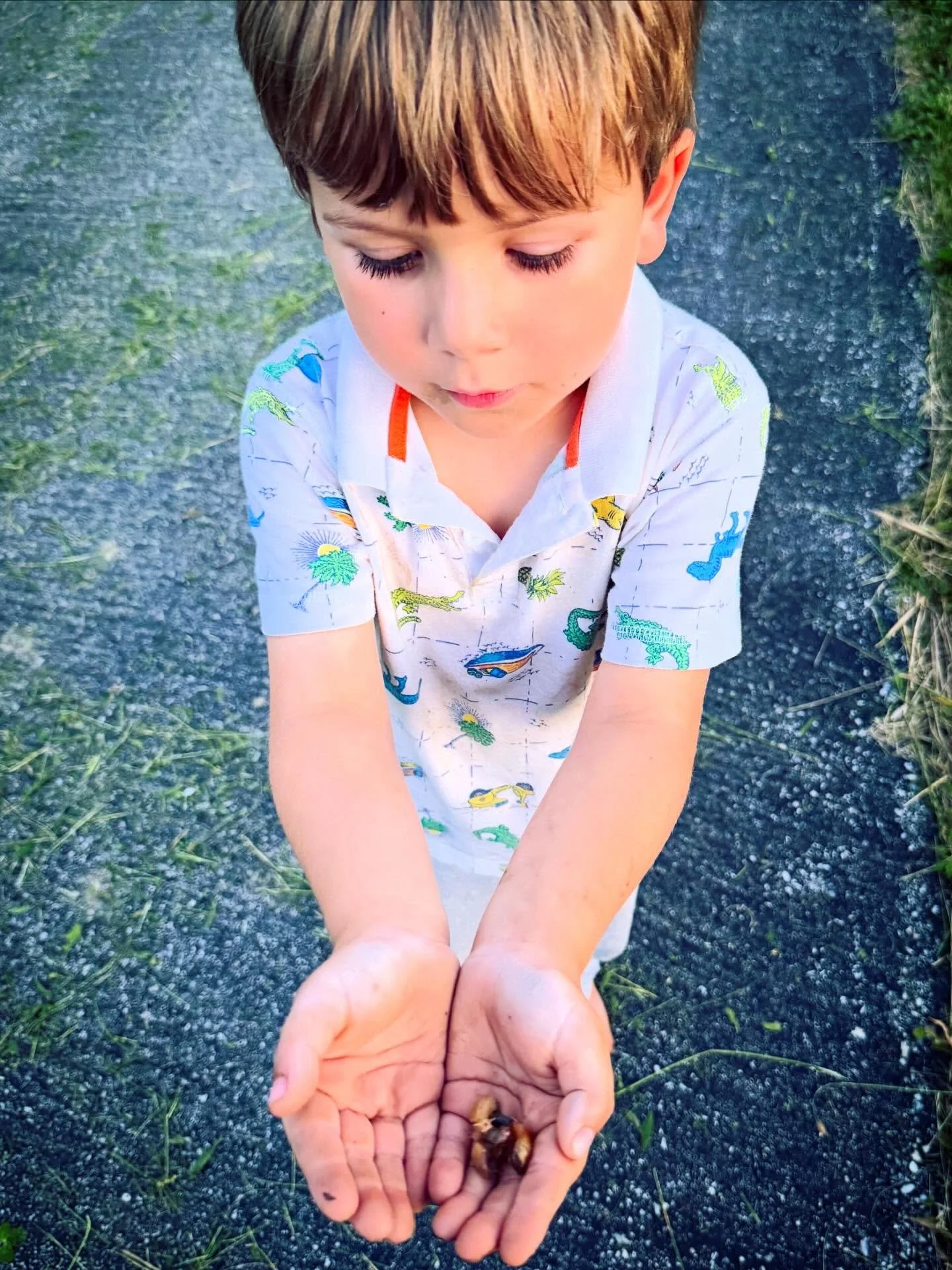 boy holding 5.jpg