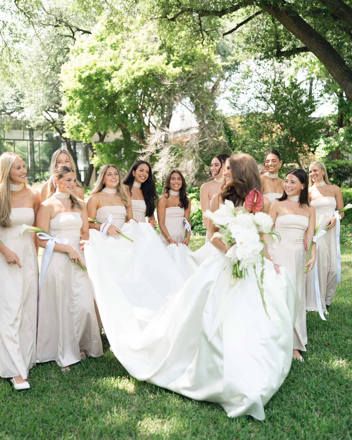 Abigail&rsquo;s wedding day ✨🕊️ this was my first wedding at Texas discovery gardens and it was like a wedding straight out of a fairytale story and Abigail was the princess 🤍

@bybradiebruce 

#bridalinspiration #bridalmakeup #bridalhairstyle #aus