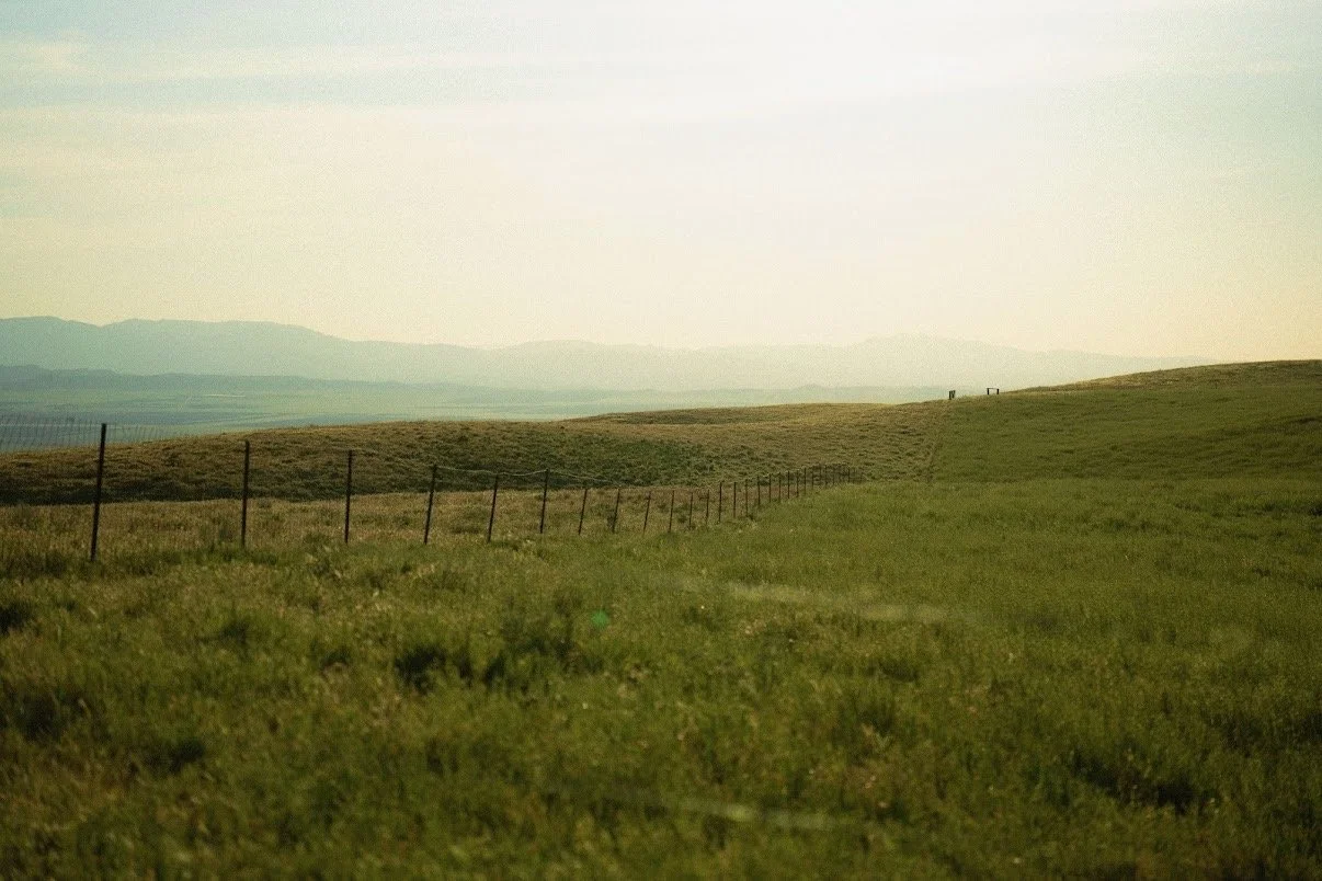 Fenceline stretching across open grasslands at Carissa Plains Outfitters, where wide horizons and quiet terrain set the tone for the hunt