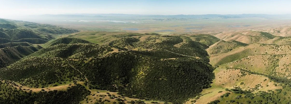 Expansive ridgelines and oak-studded hills define the diverse terrain of Carissa Plains Outfitters, offering prime habitat and endless opportunity across California’s Central Coast