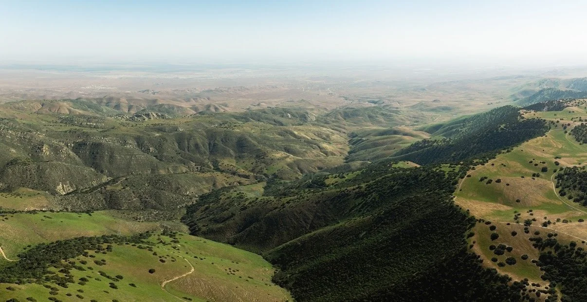 Rolling hills and vast open terrain stretch across Carissa Plains Outfitters, offering prime habitat and an unmatched sense of scale in California’s Central Coast