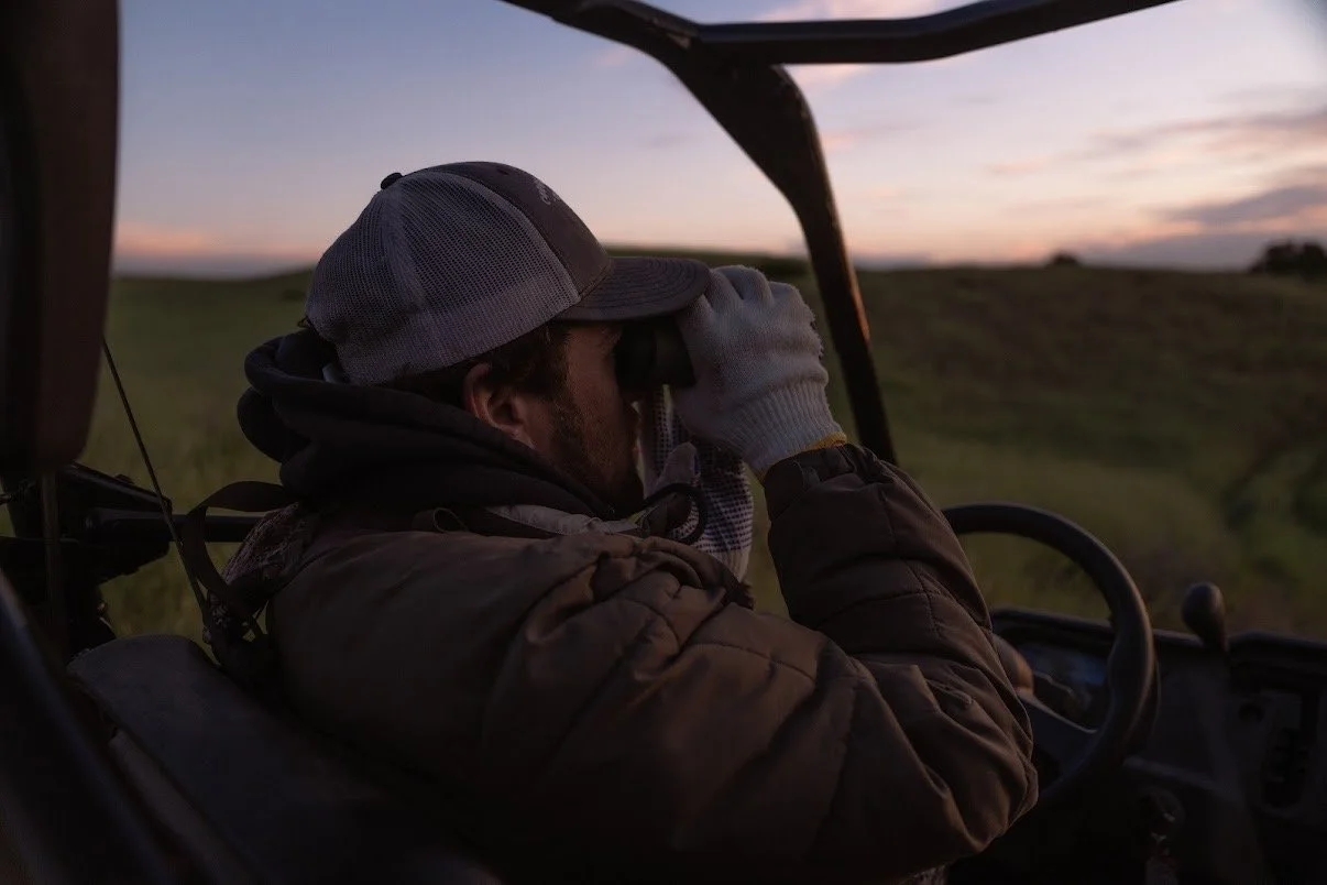 Glassing the landscape at first light at Carissa Plains Outfitters, where early mornings set the tone for the hunt