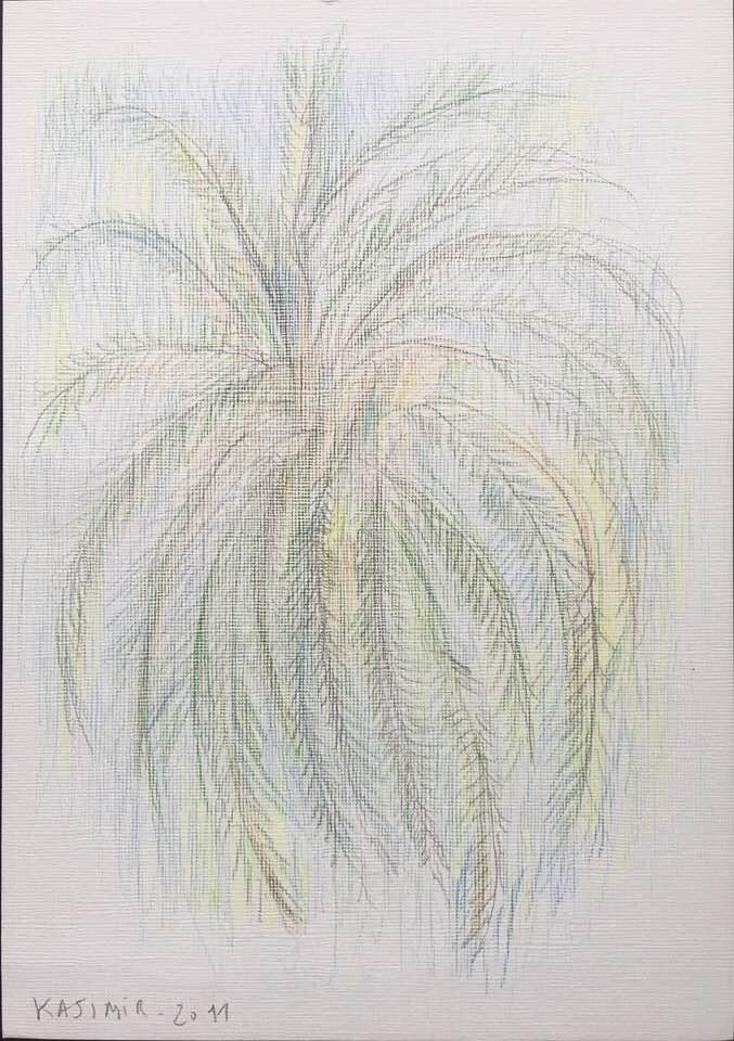 "La palmera davant de casa a Lisboa (I)"